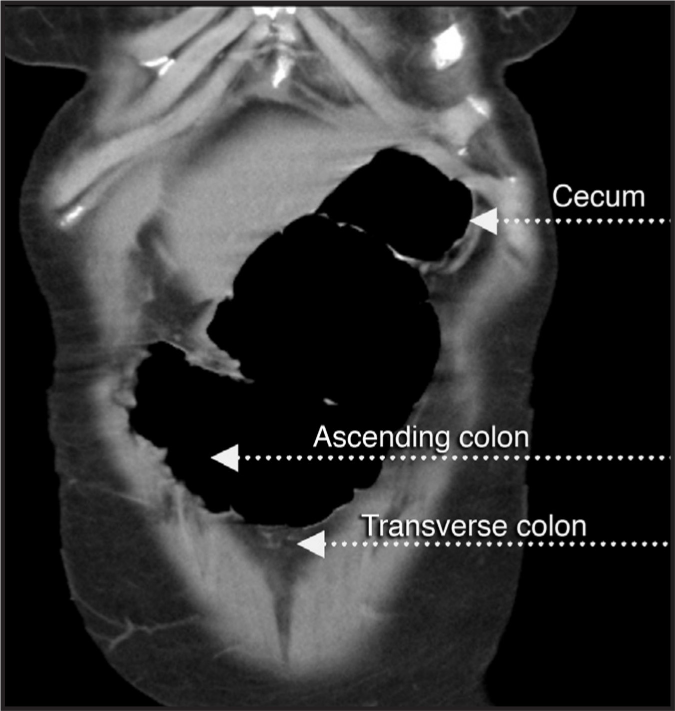 FIGURE 7.