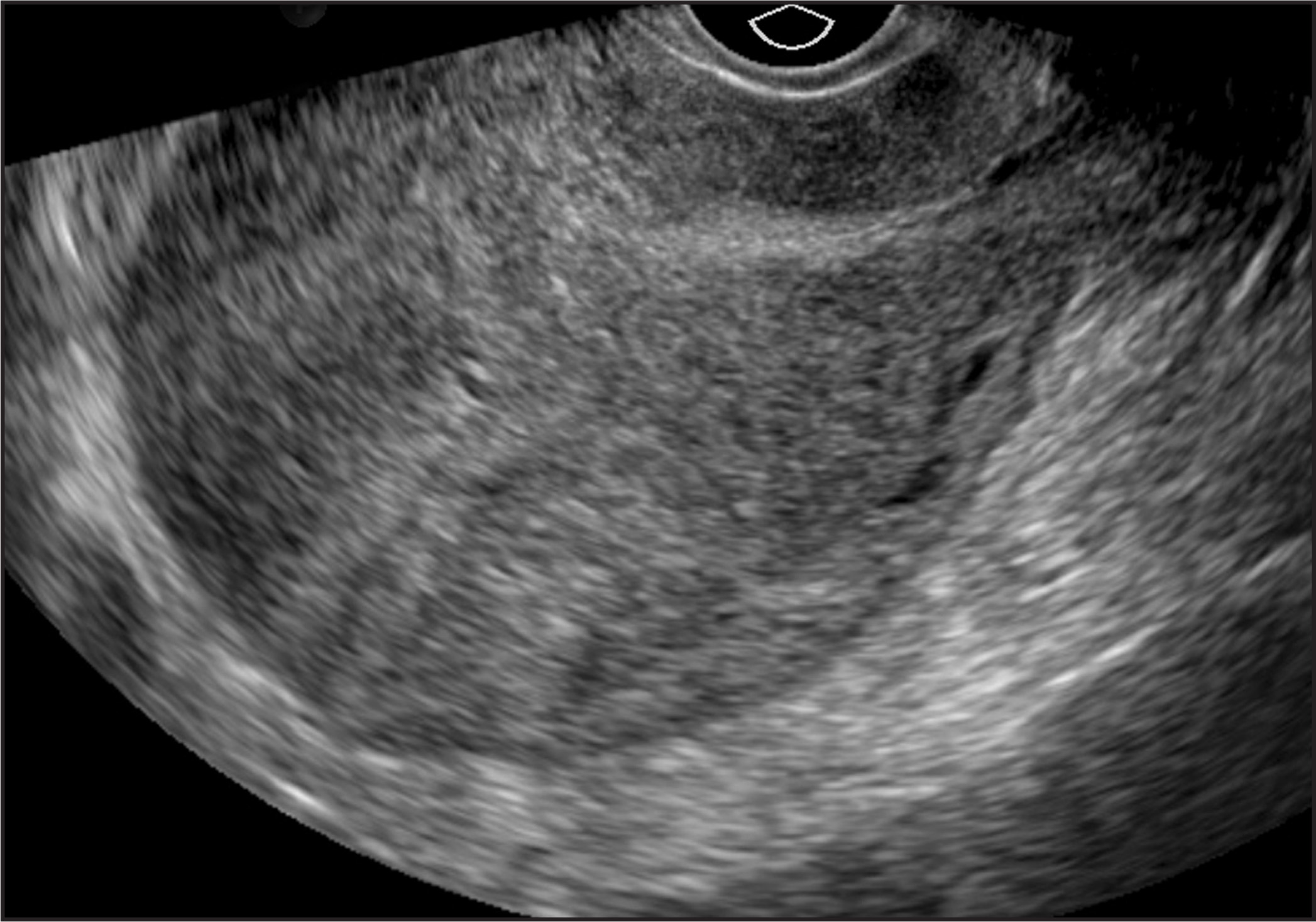 FIGURE 8.