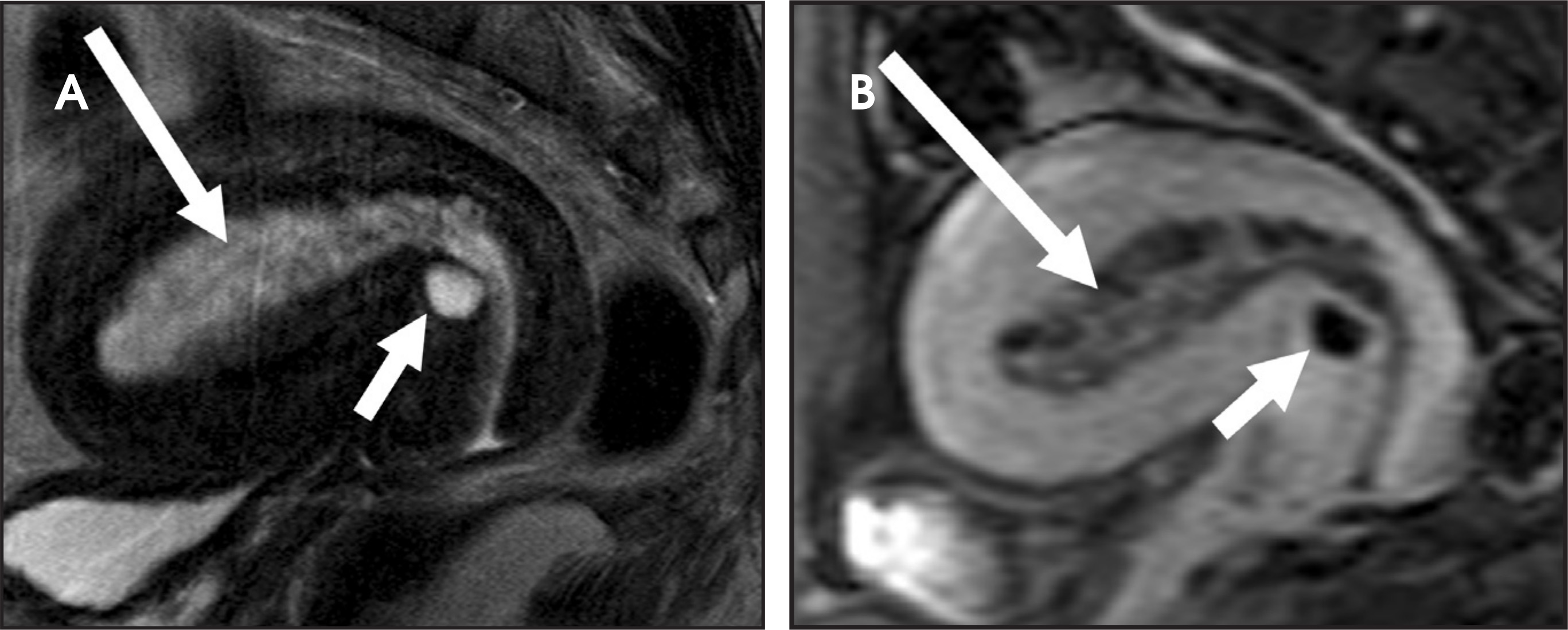 FIGURE 12.