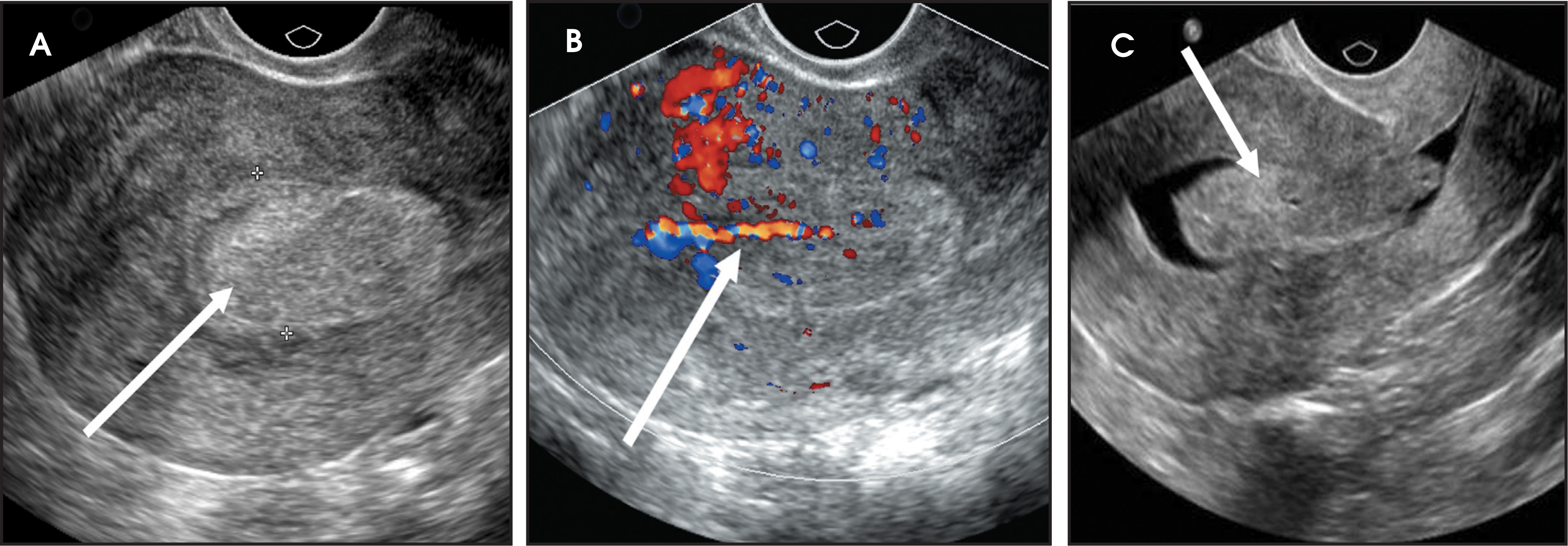 FIGURE 13.