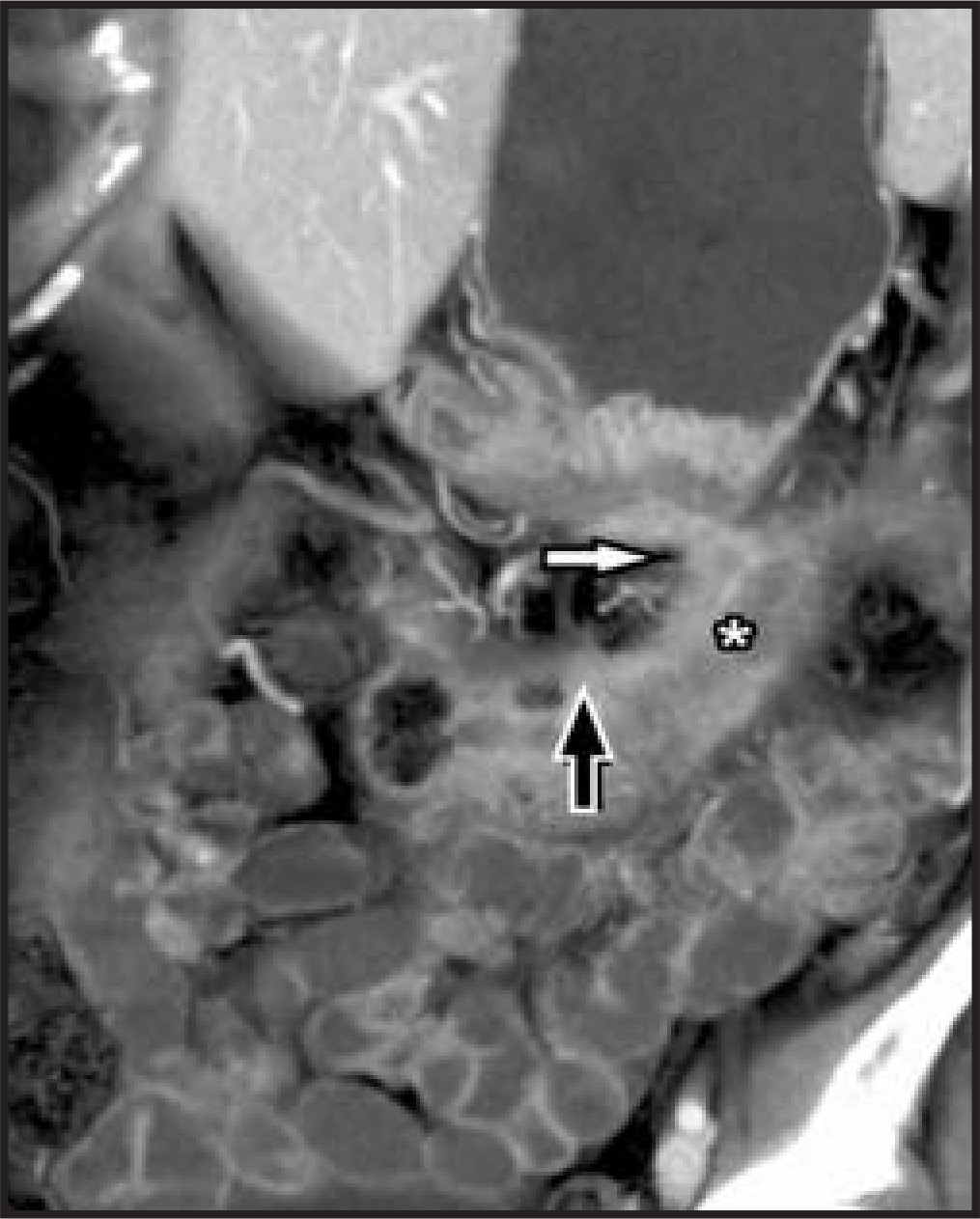 FIGURE 9.
