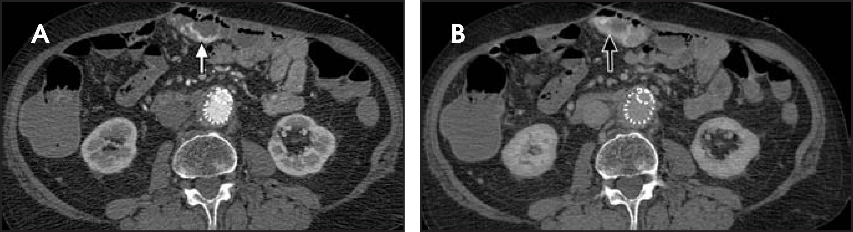 FIGURE 20.