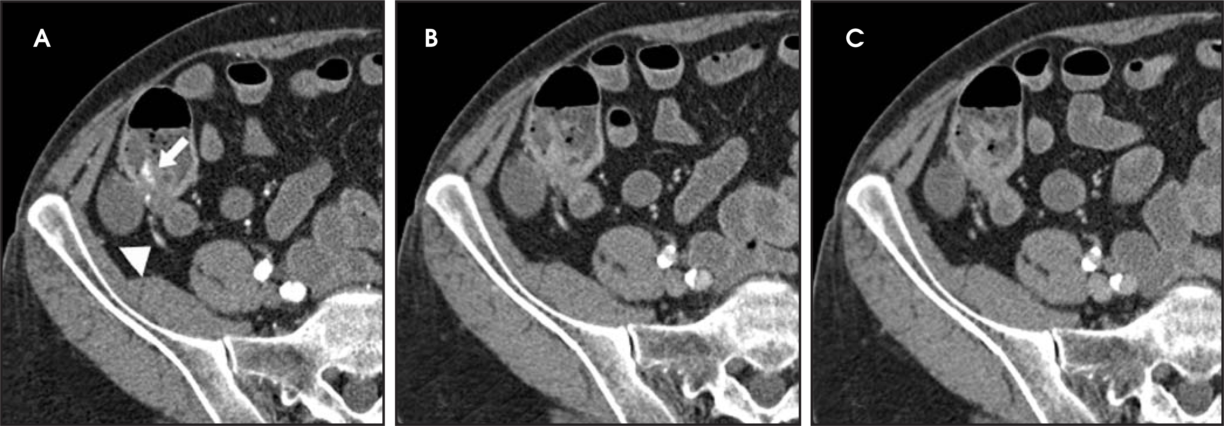 FIGURE 1.
