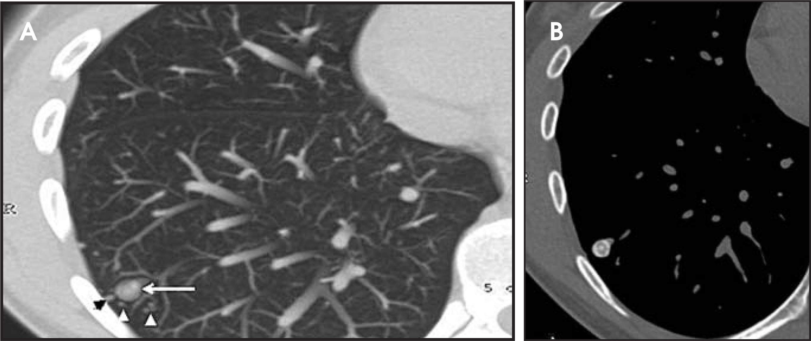 FIGURE 10.