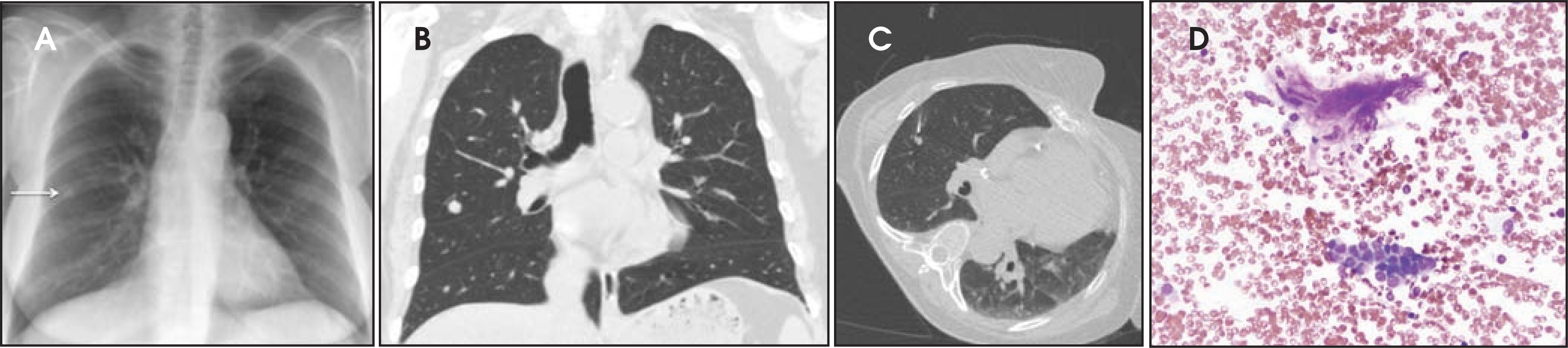 FIGURE 19.