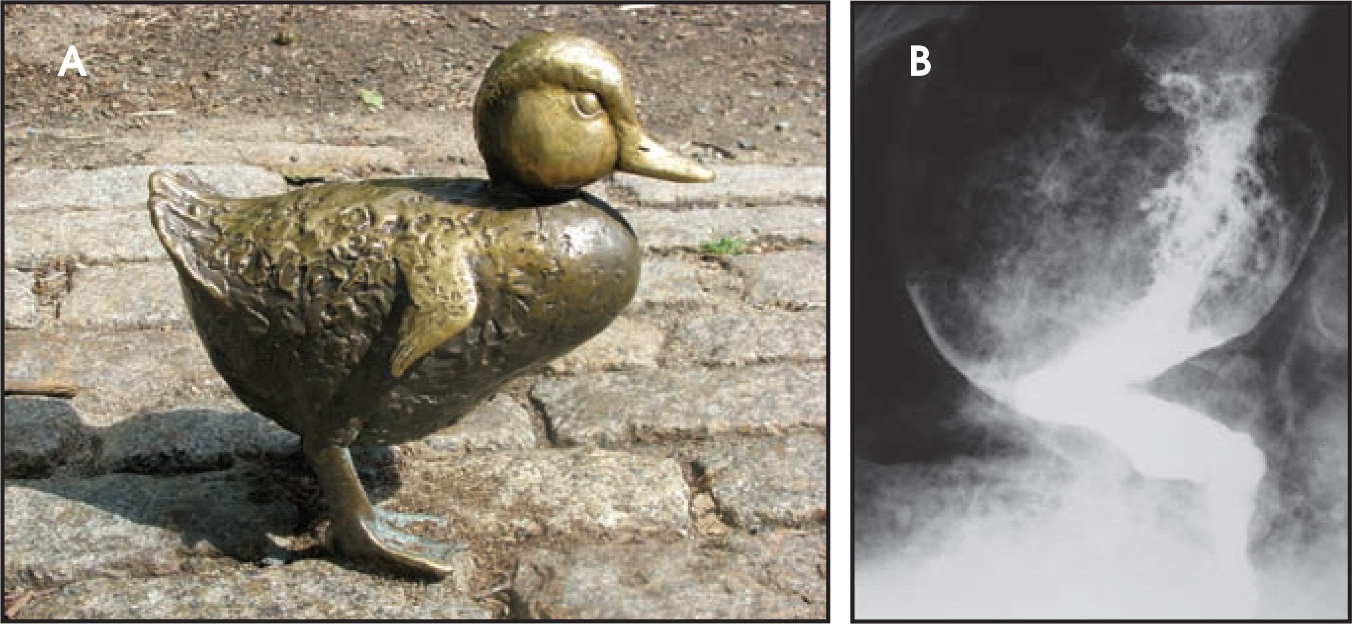FIGURE 1.