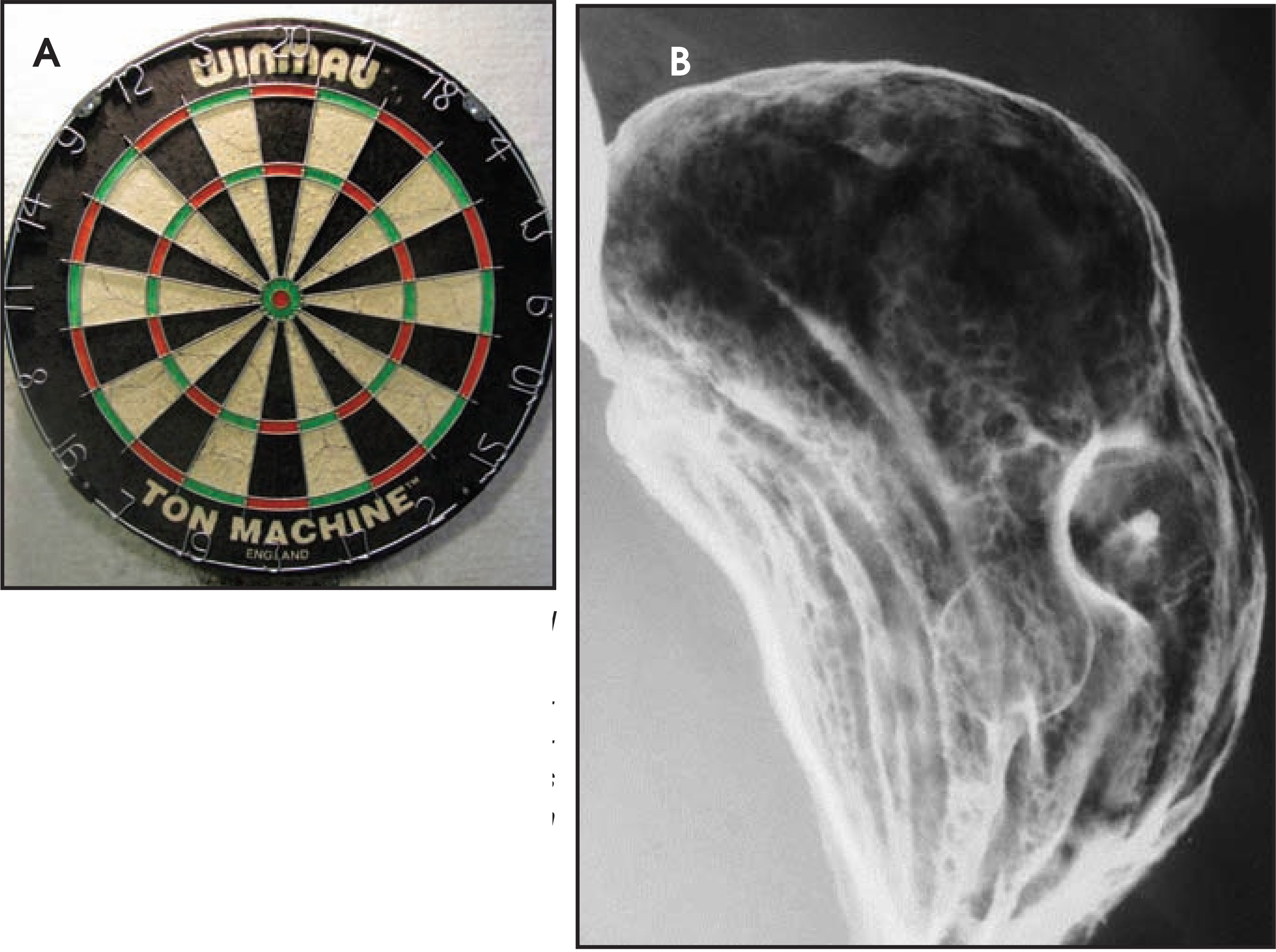 FIGURE 4.