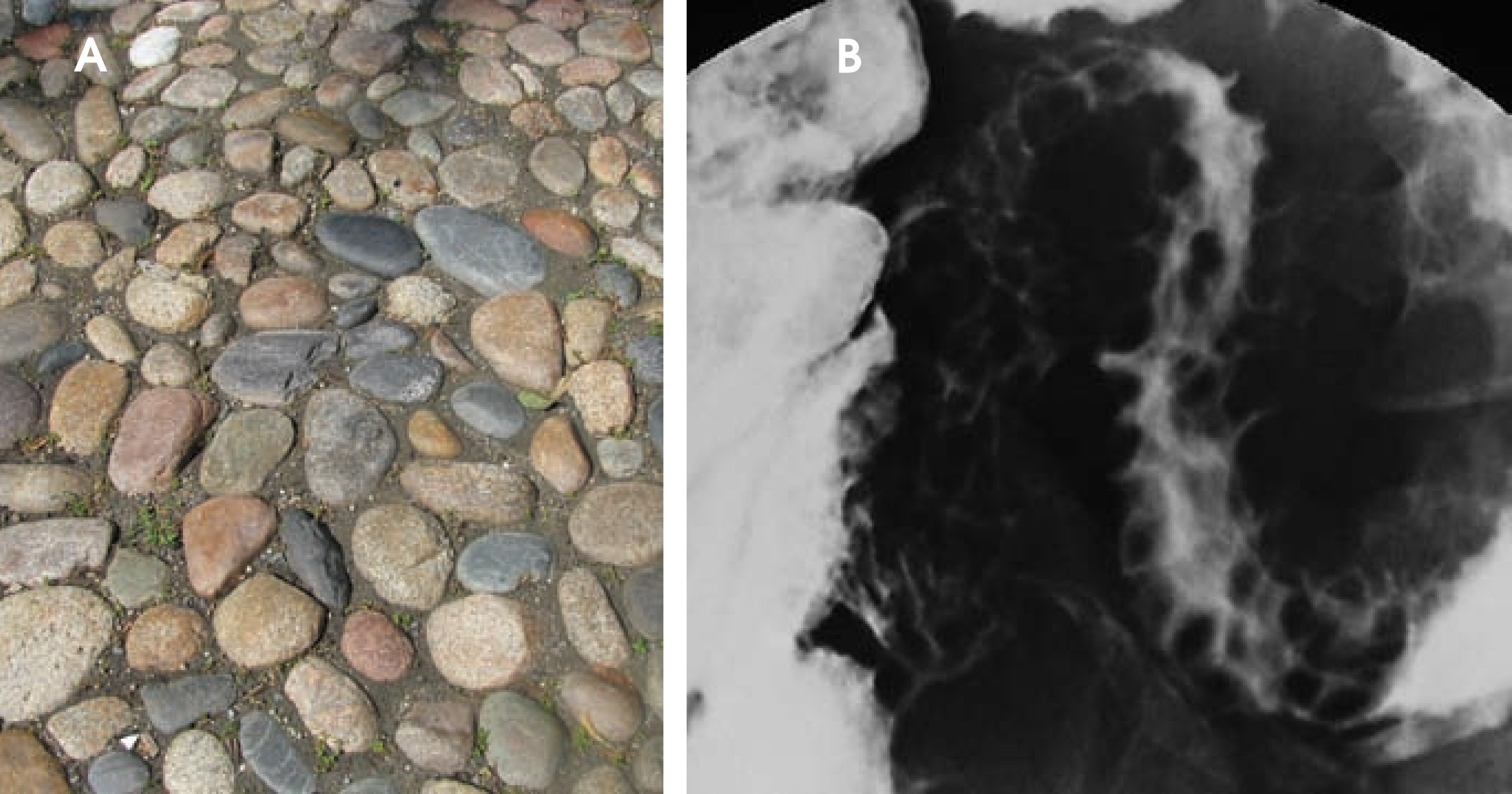 FIGURE 19.