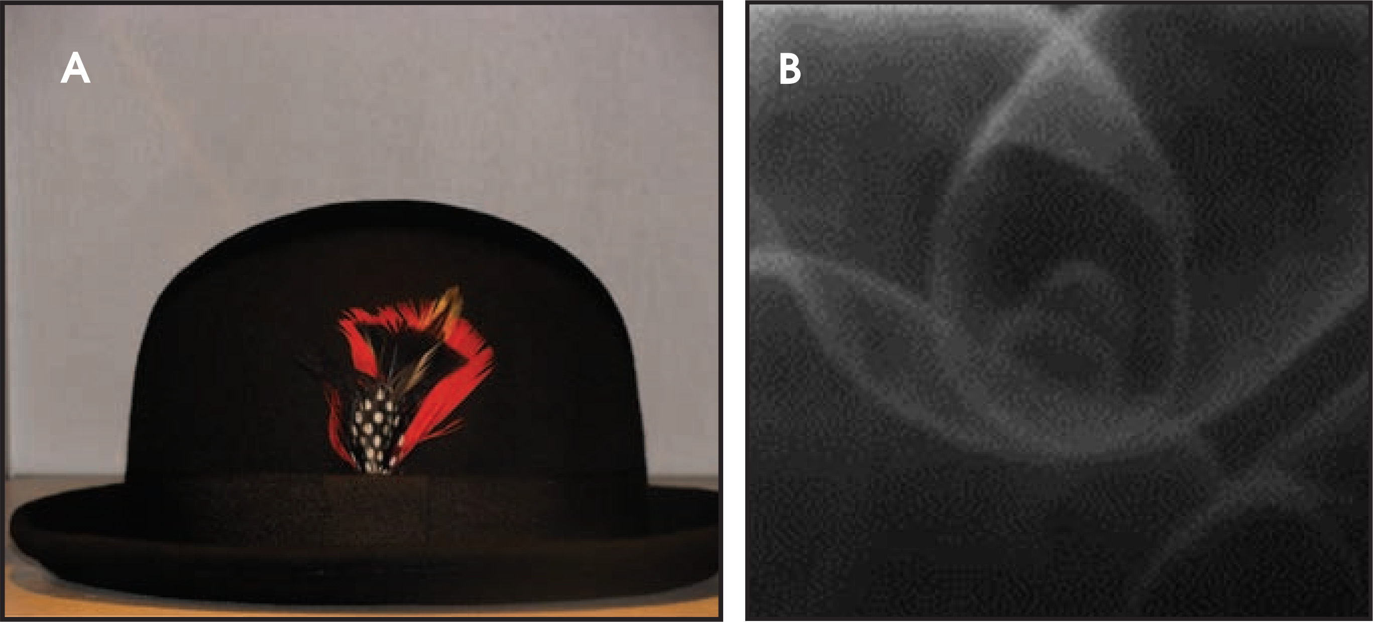 FIGURE 20.
