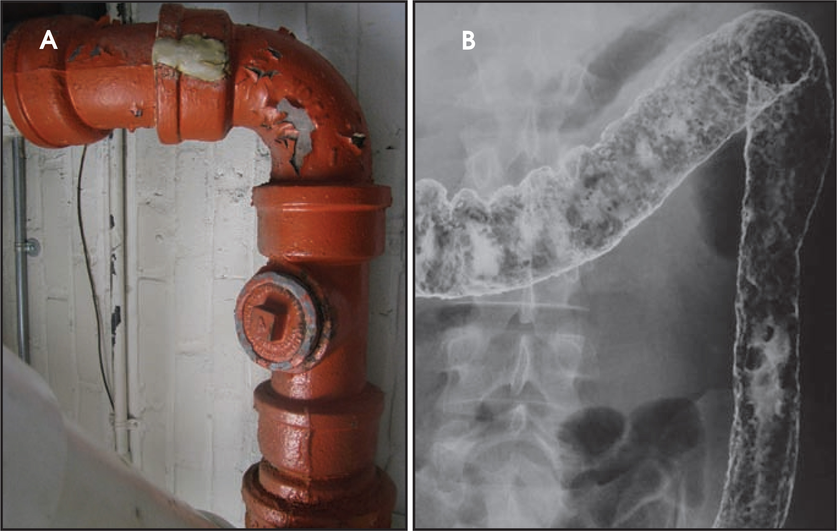 FIGURE 25.