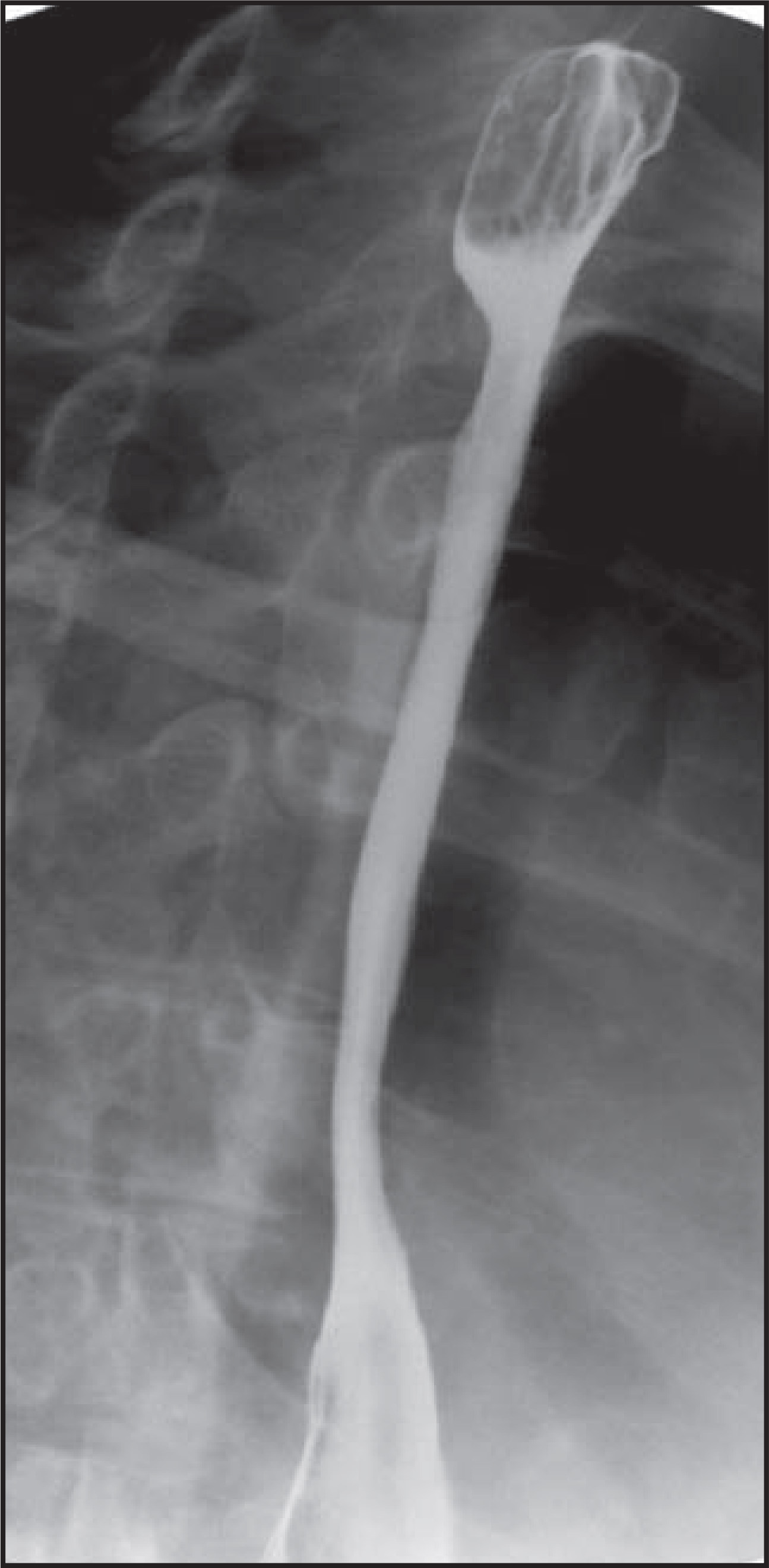 FIGURE 7.