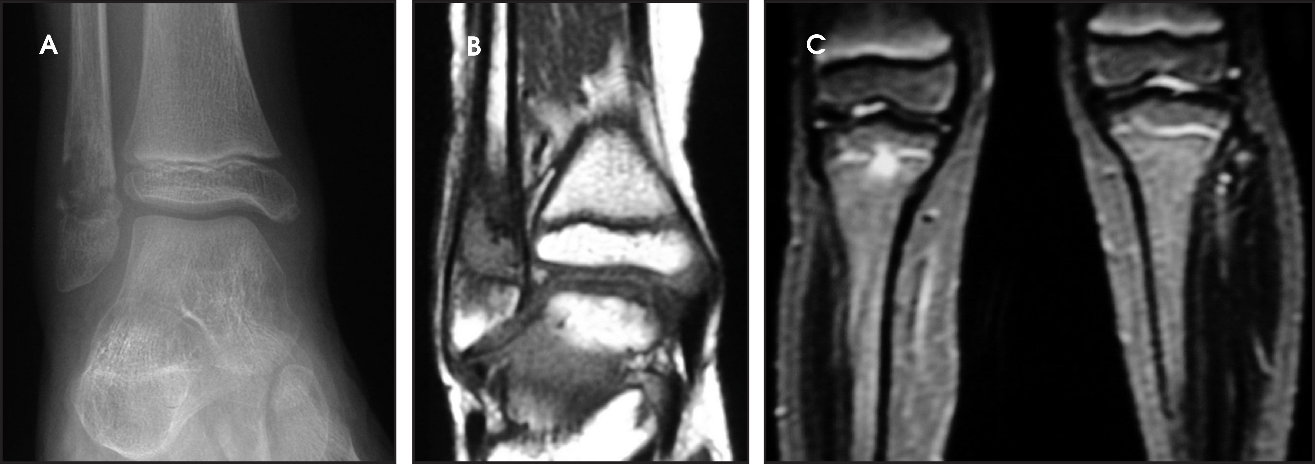 FIGURE 2.