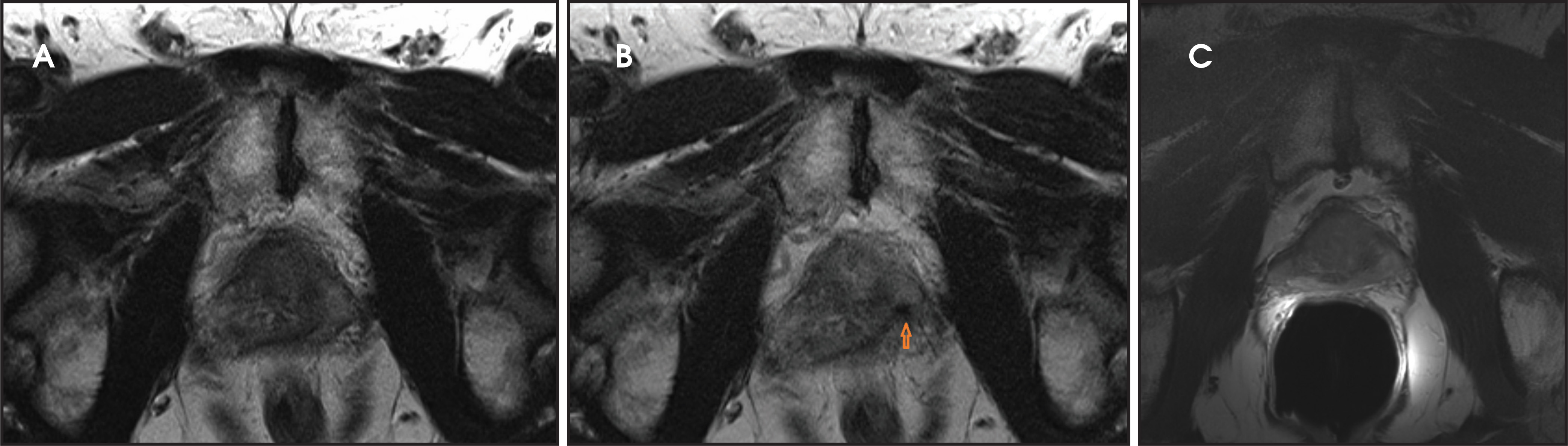FIGURE 10.