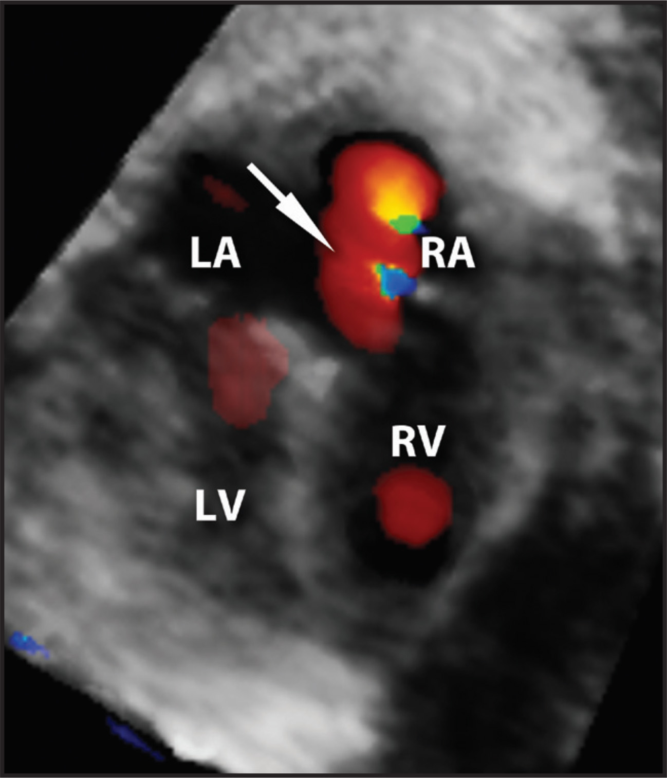 FIGURE 1.