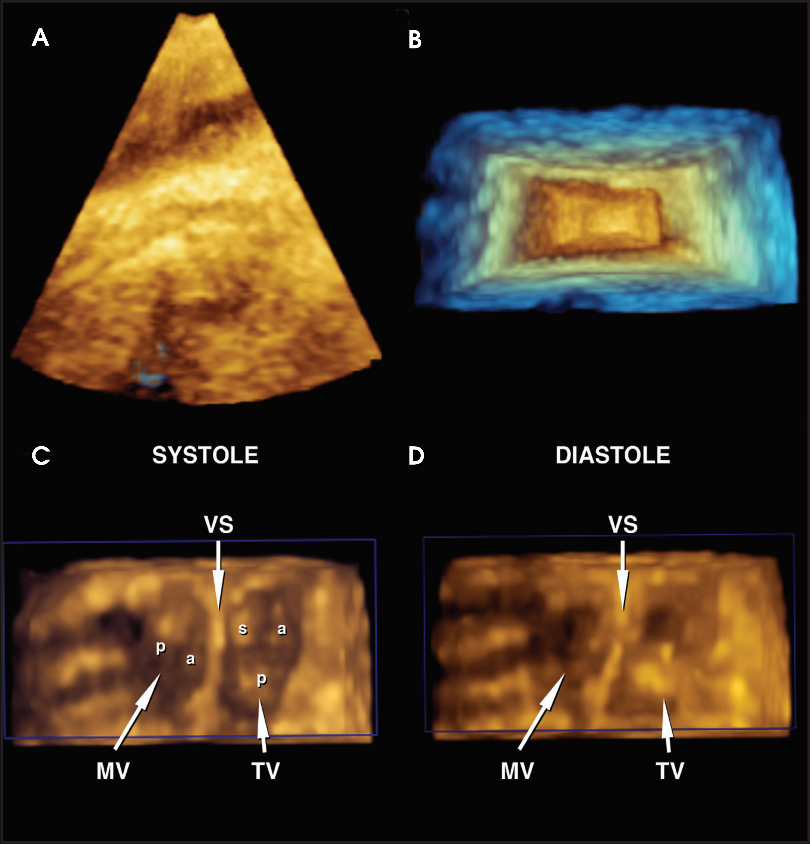 FIGURE 4.