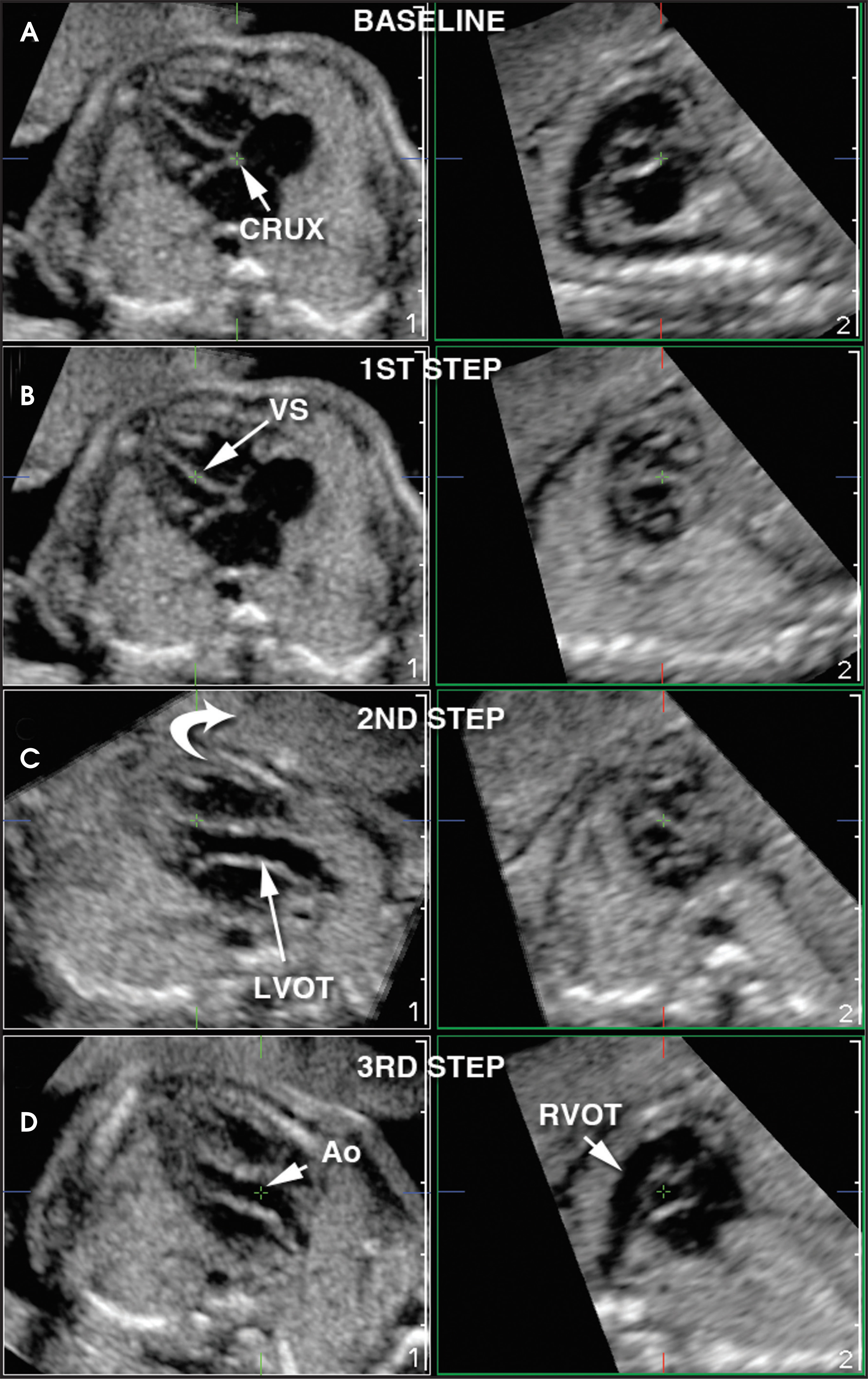 FIGURE 10.
