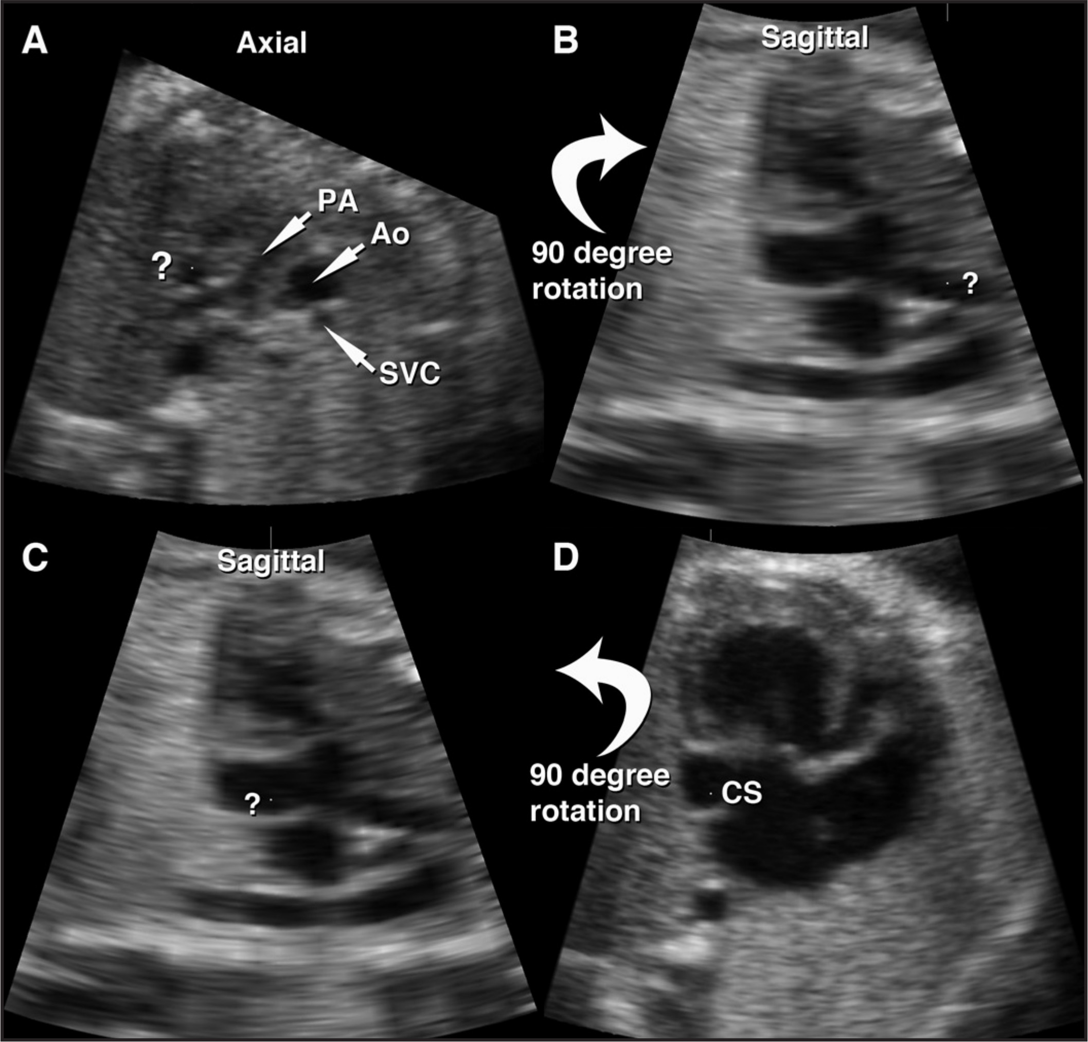 FIGURE 11.