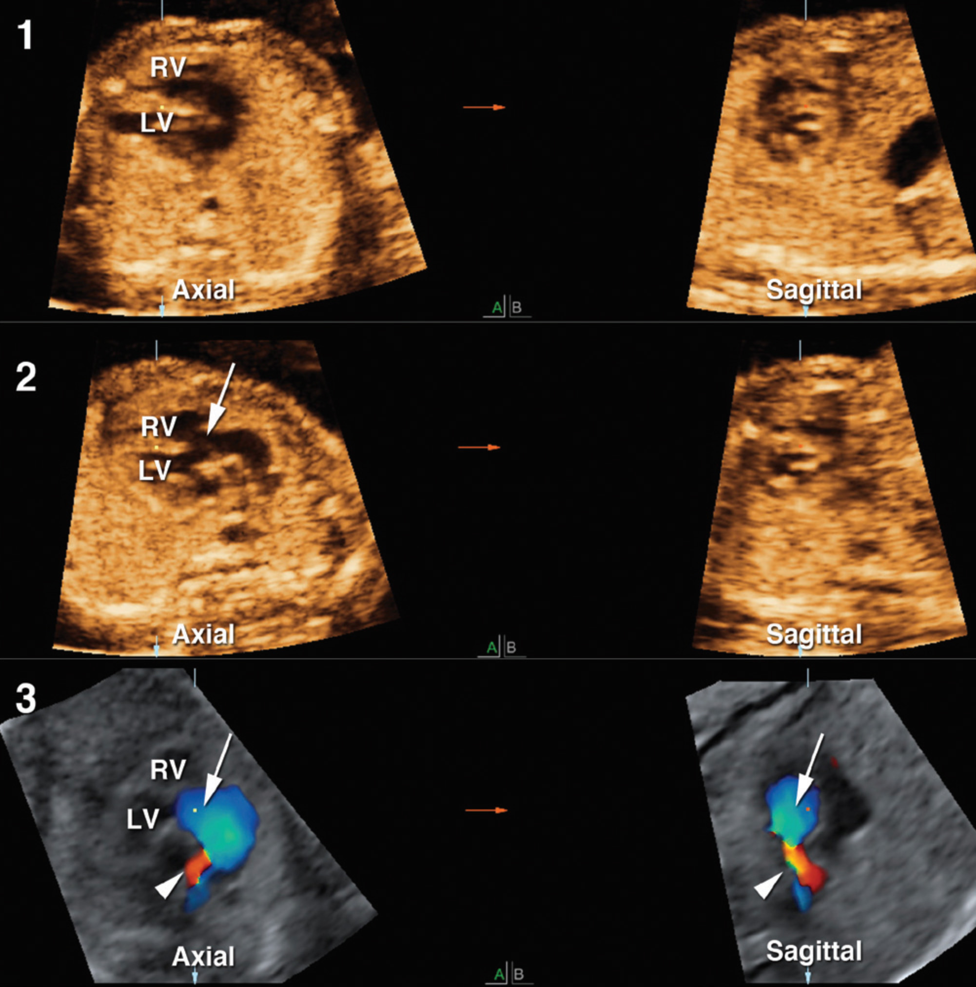 FIGURE 12.