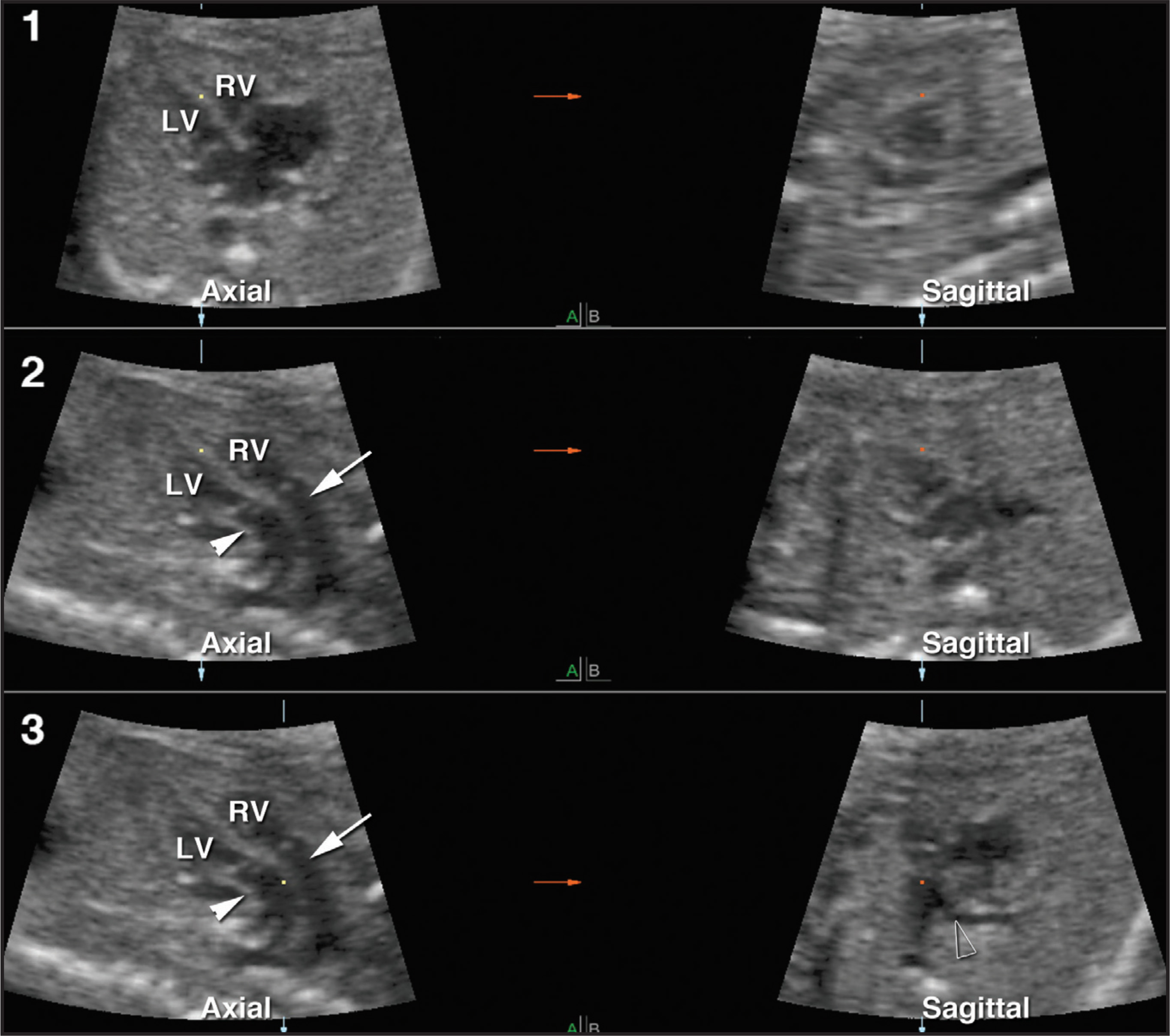 FIGURE 13.