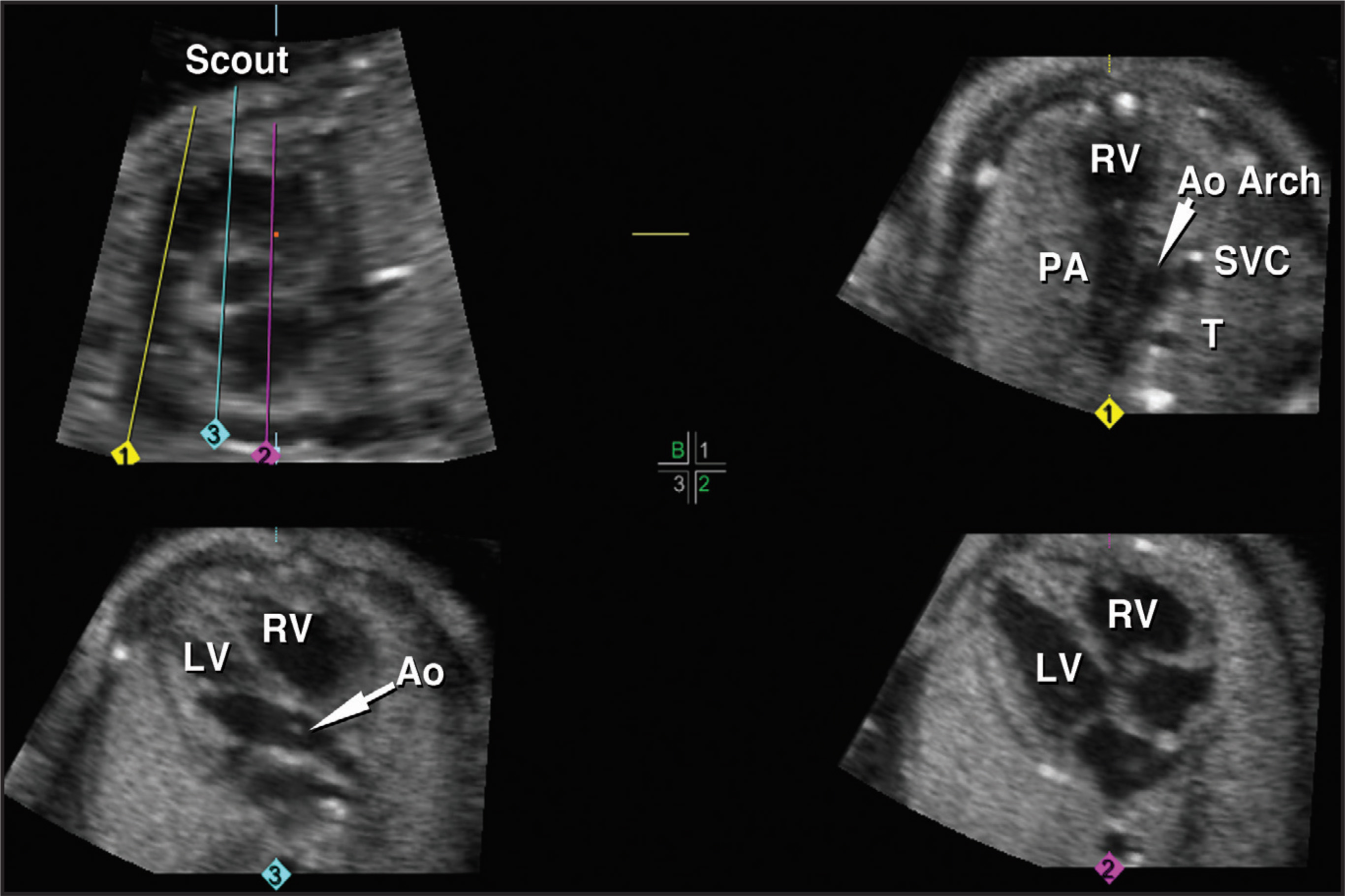 FIGURE 16.