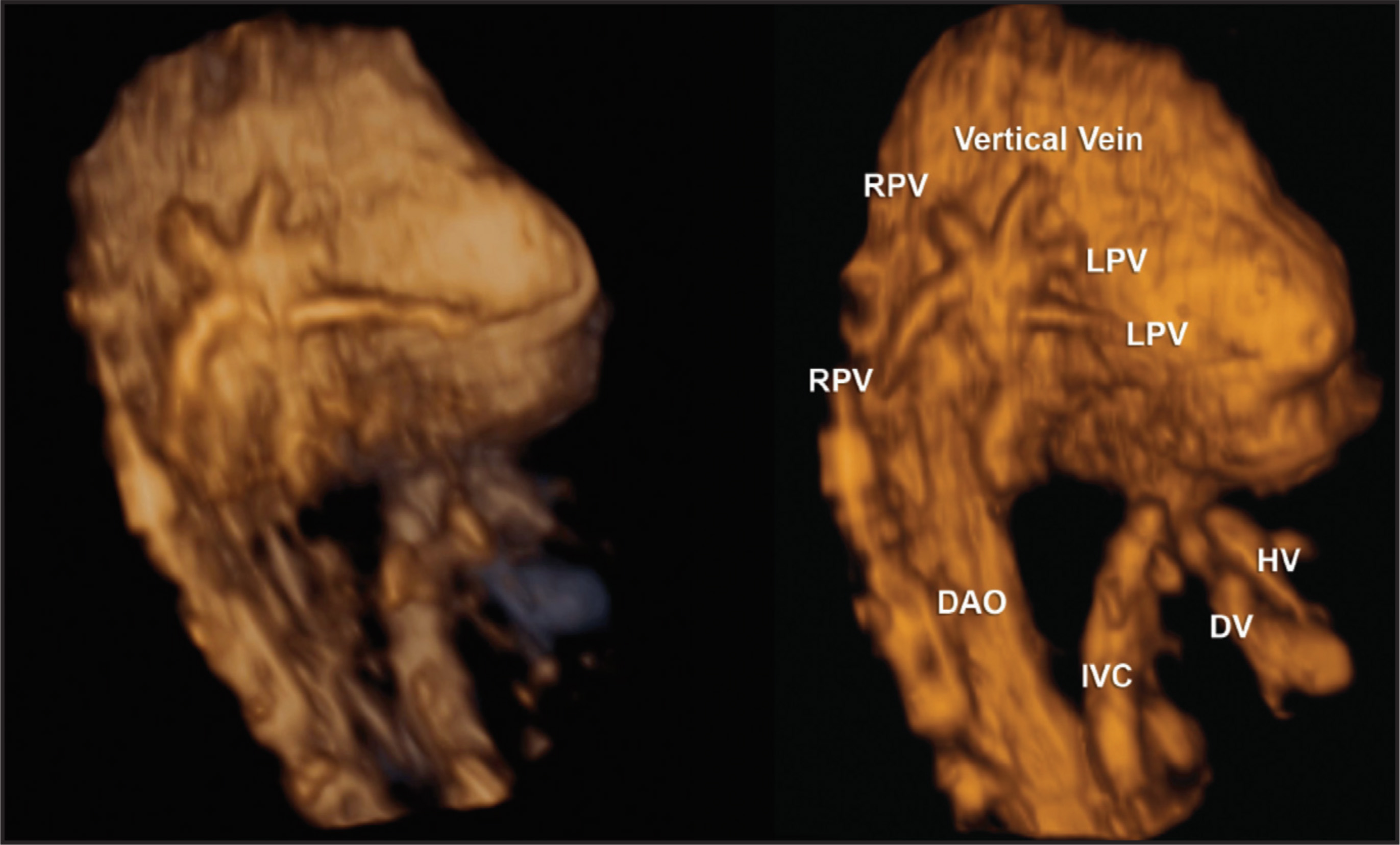 FIGURE 19.