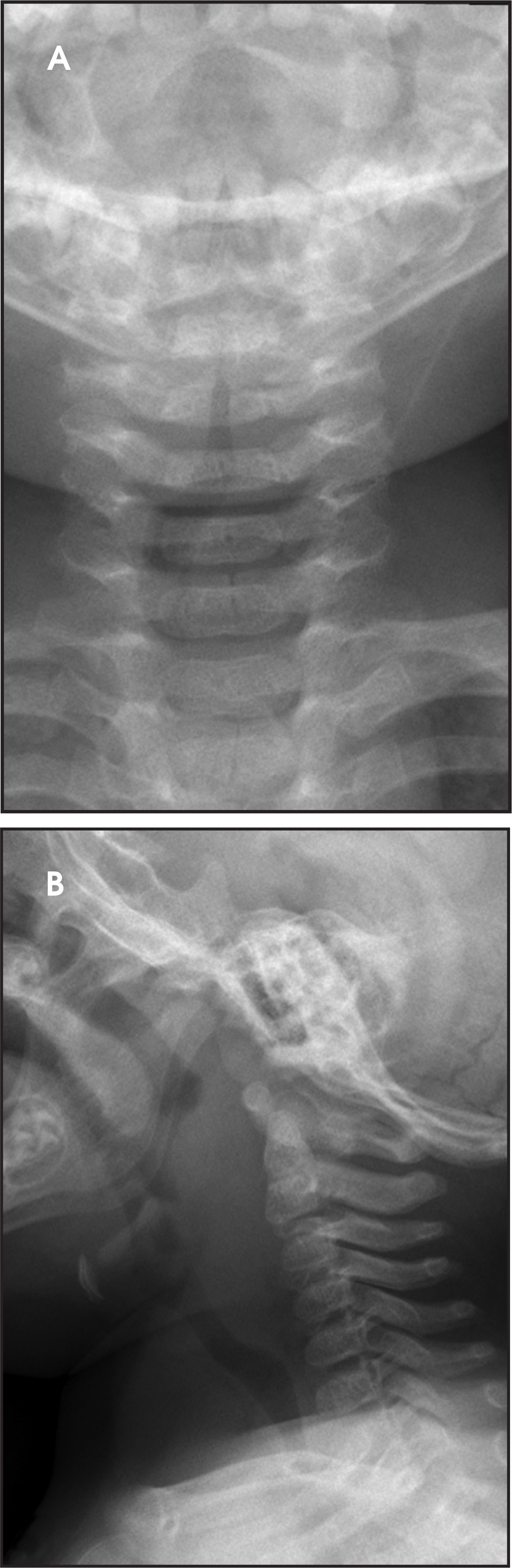 FIGURE 4.