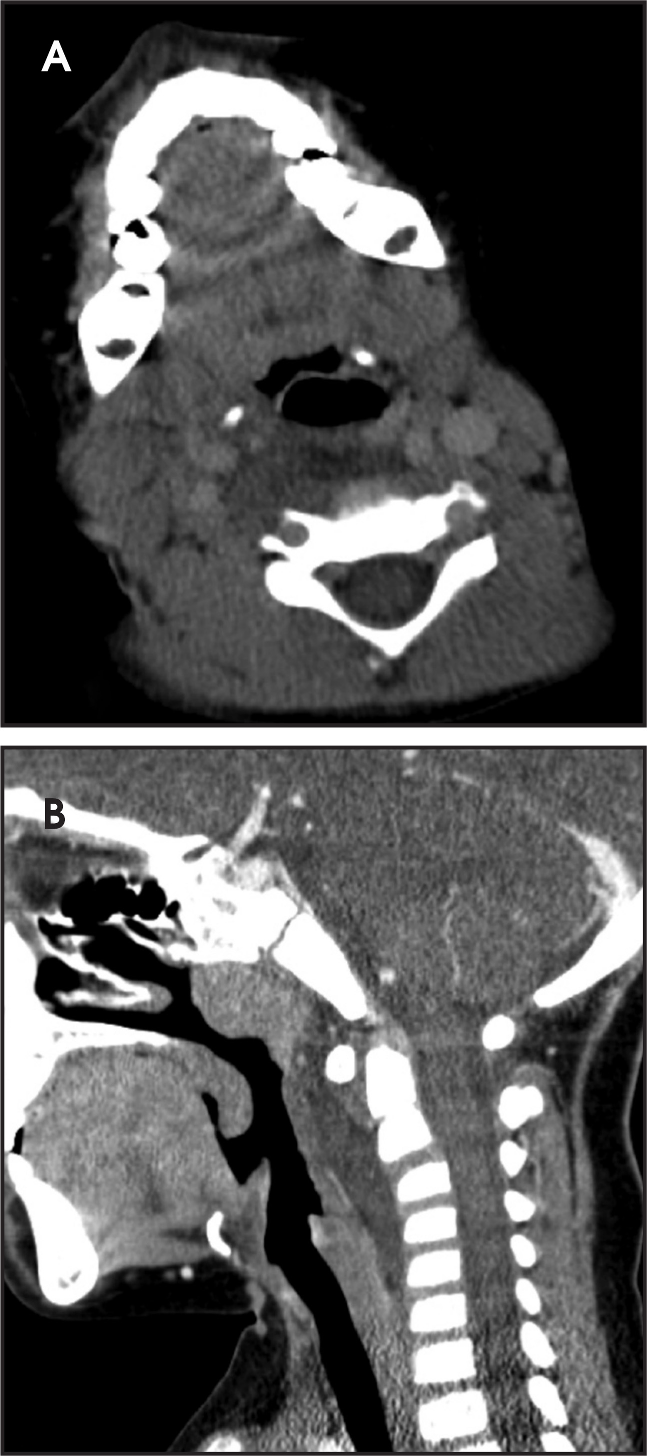 FIGURE 12.