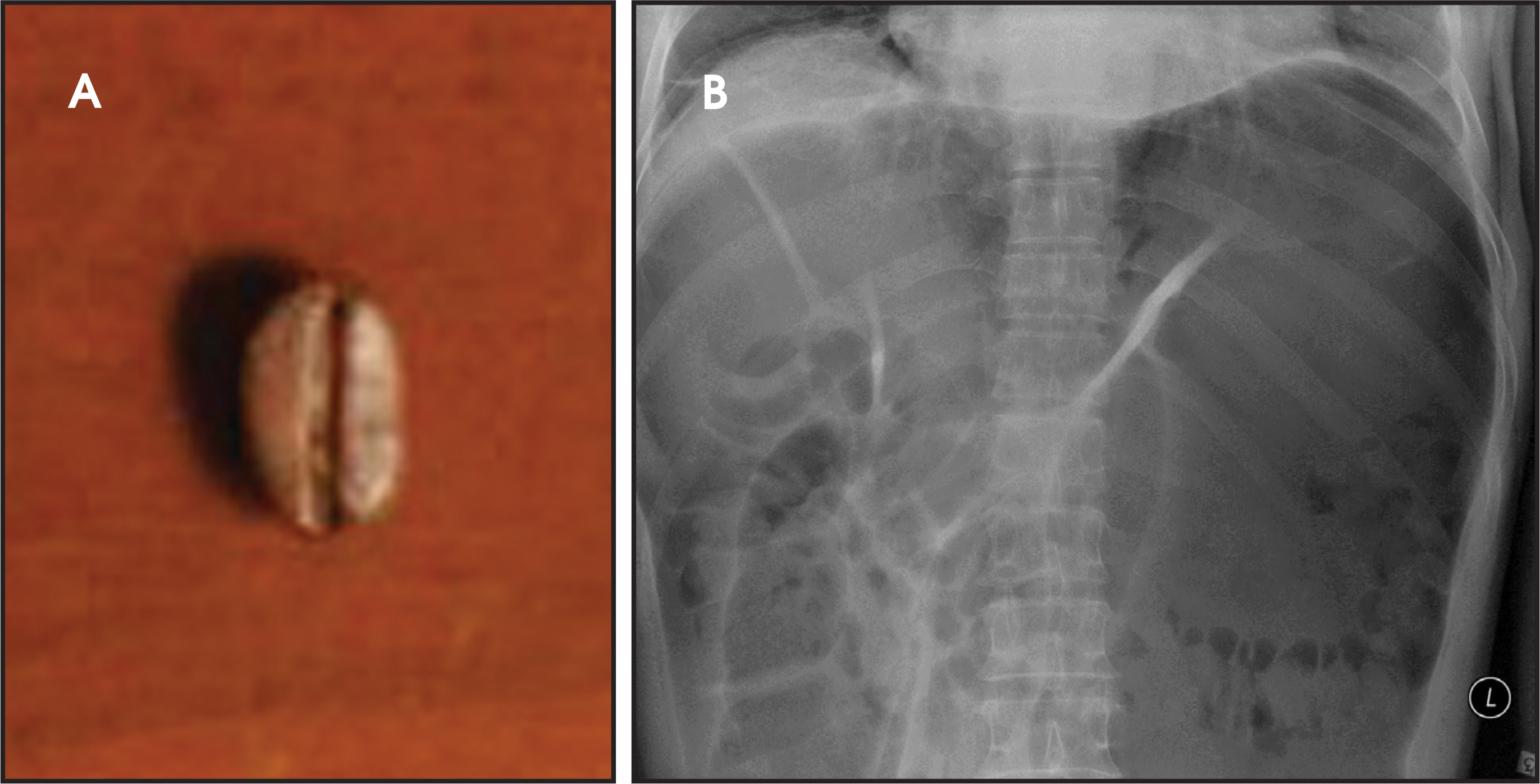 FIGURE 27.