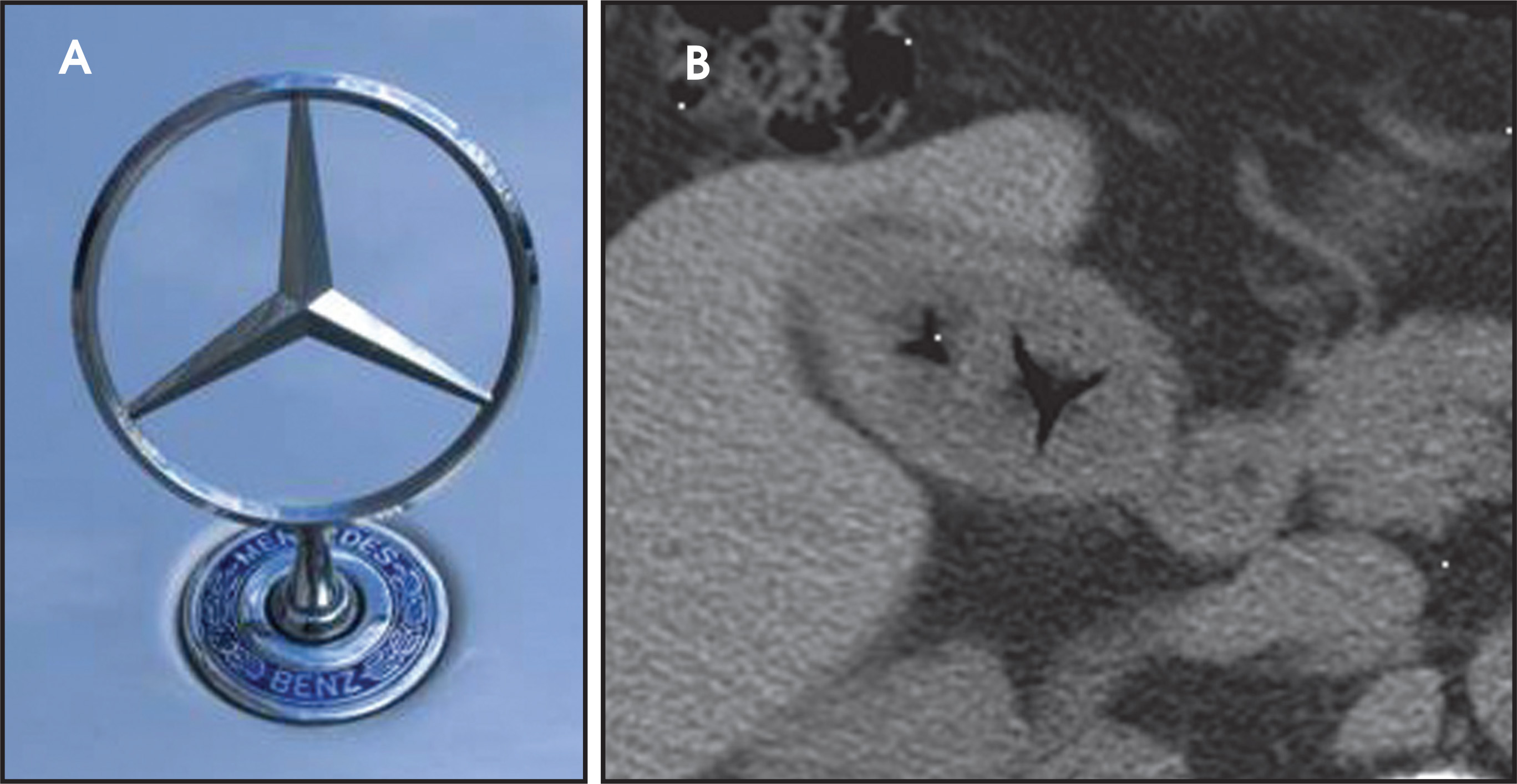 FIGURE 29.