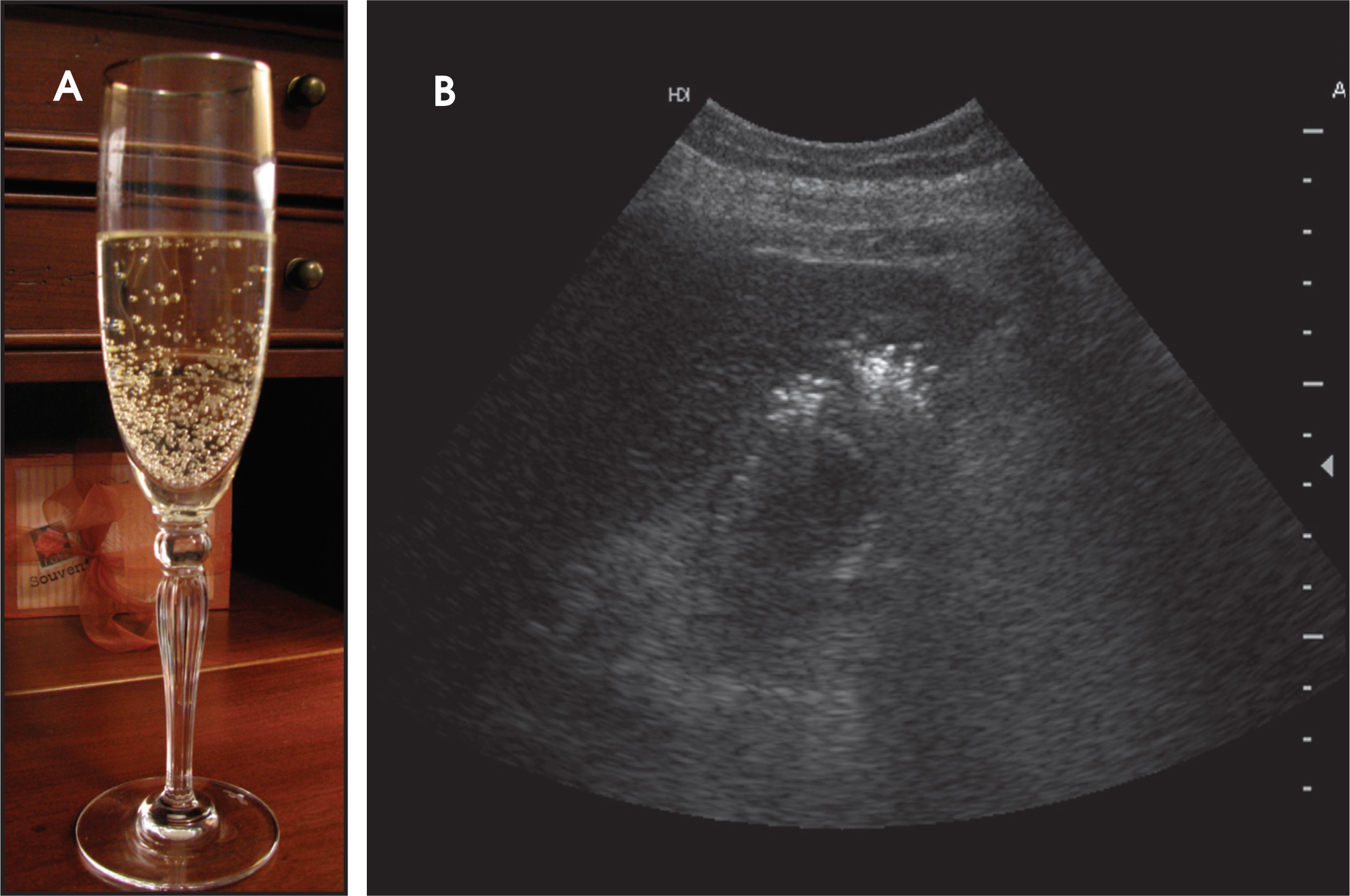 FIGURE 31.