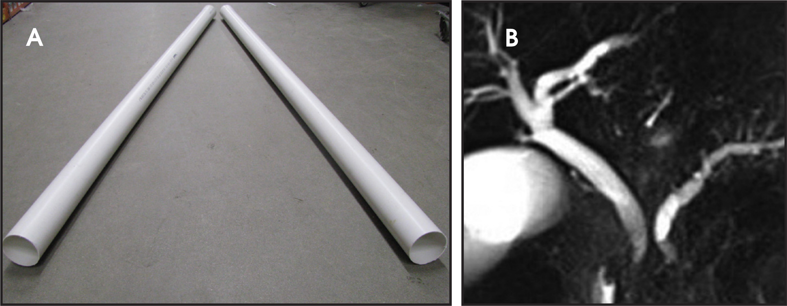 FIGURE 34.