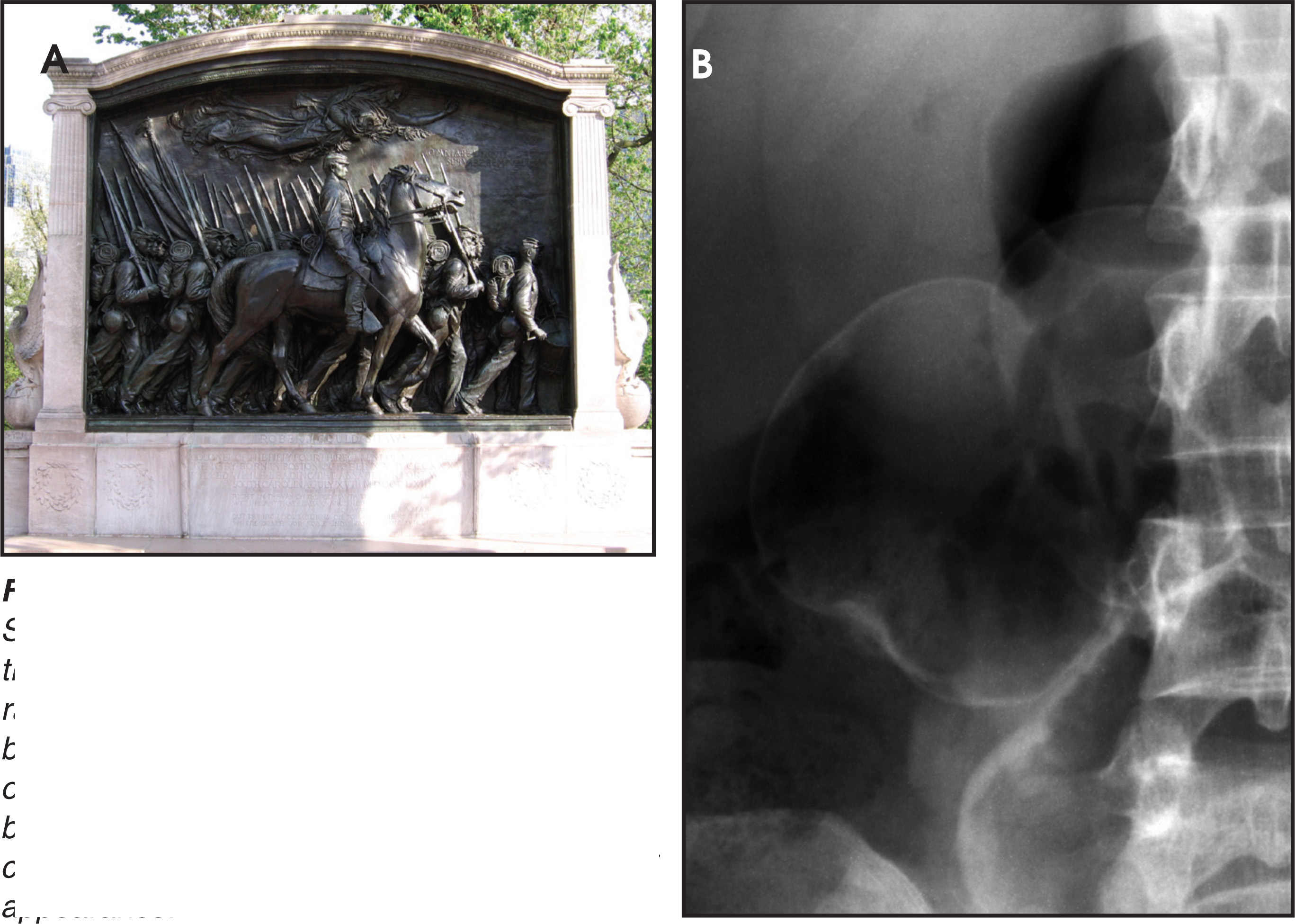 FIGURE 37.