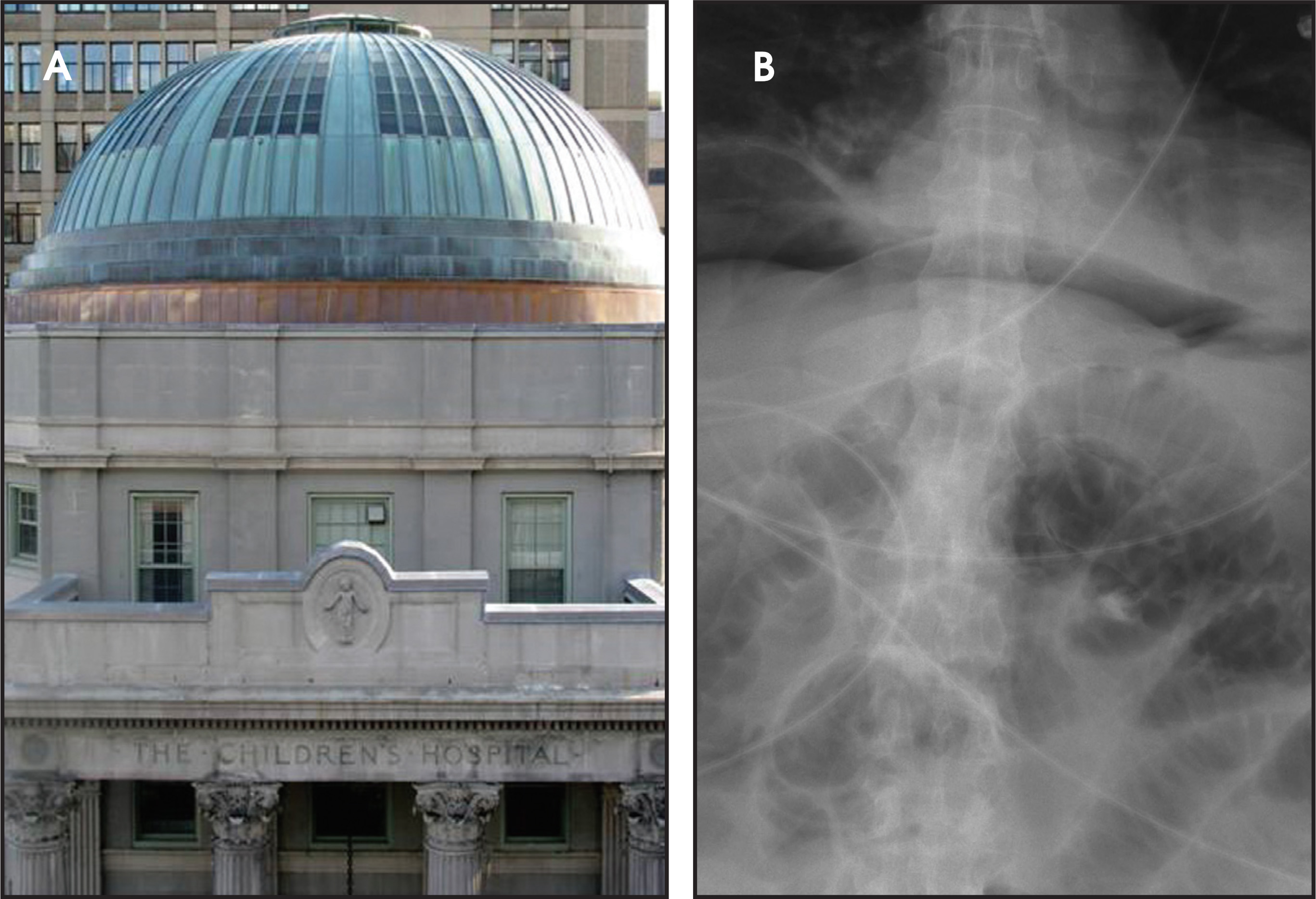 FIGURE 38.