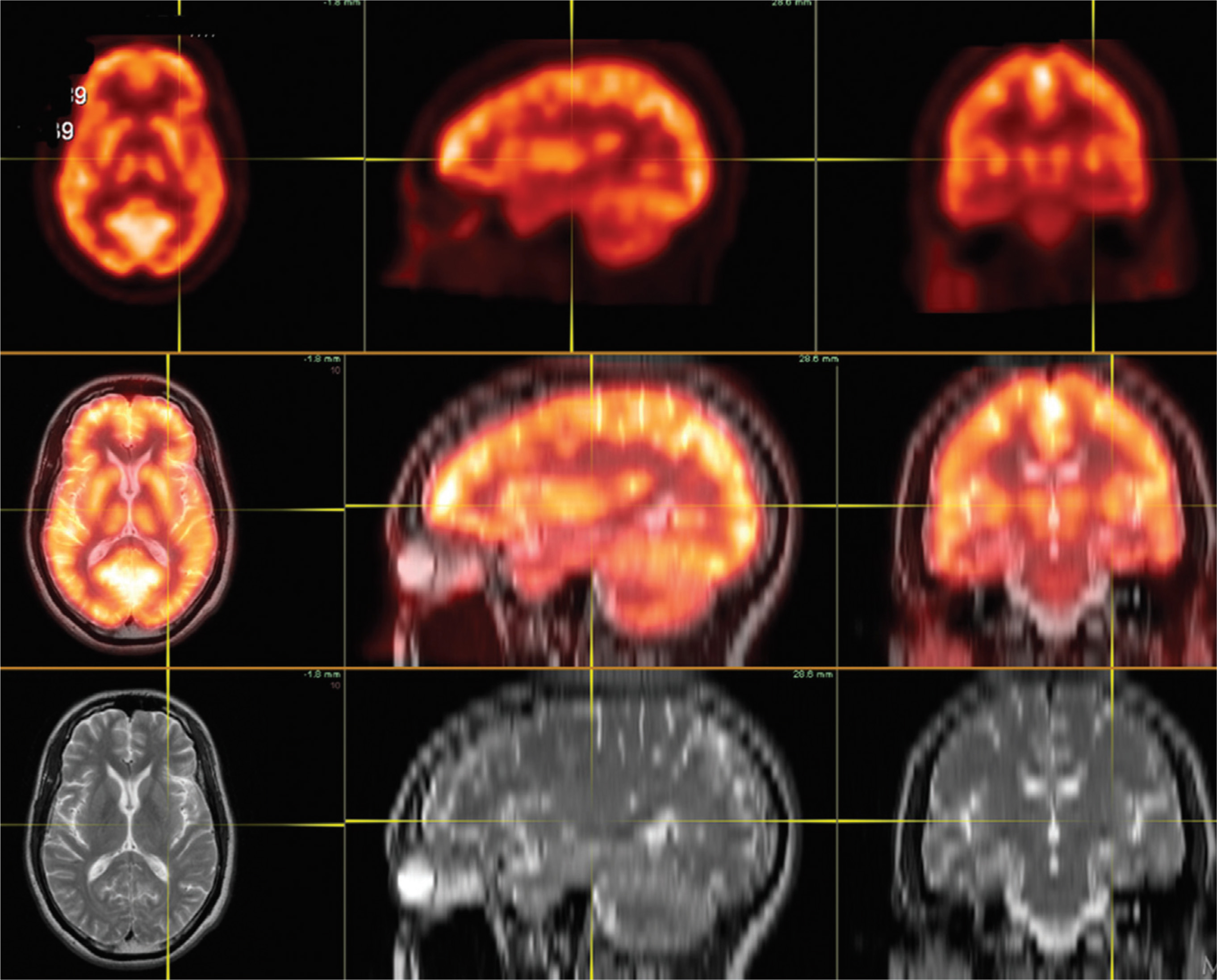 FIGURE 1.