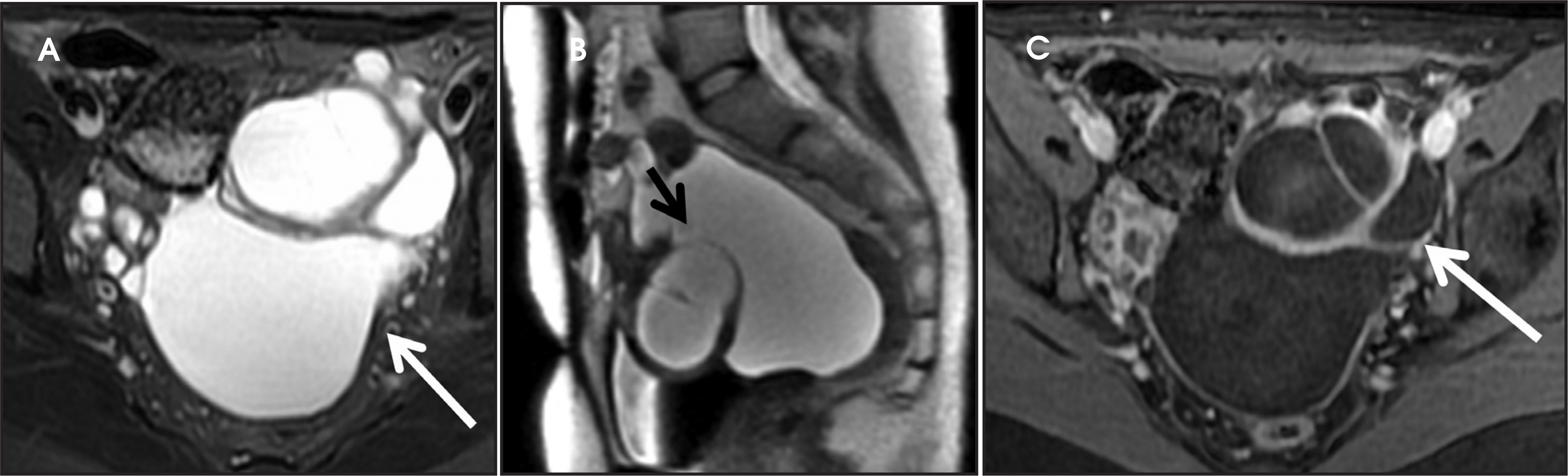 FIGURE 12.