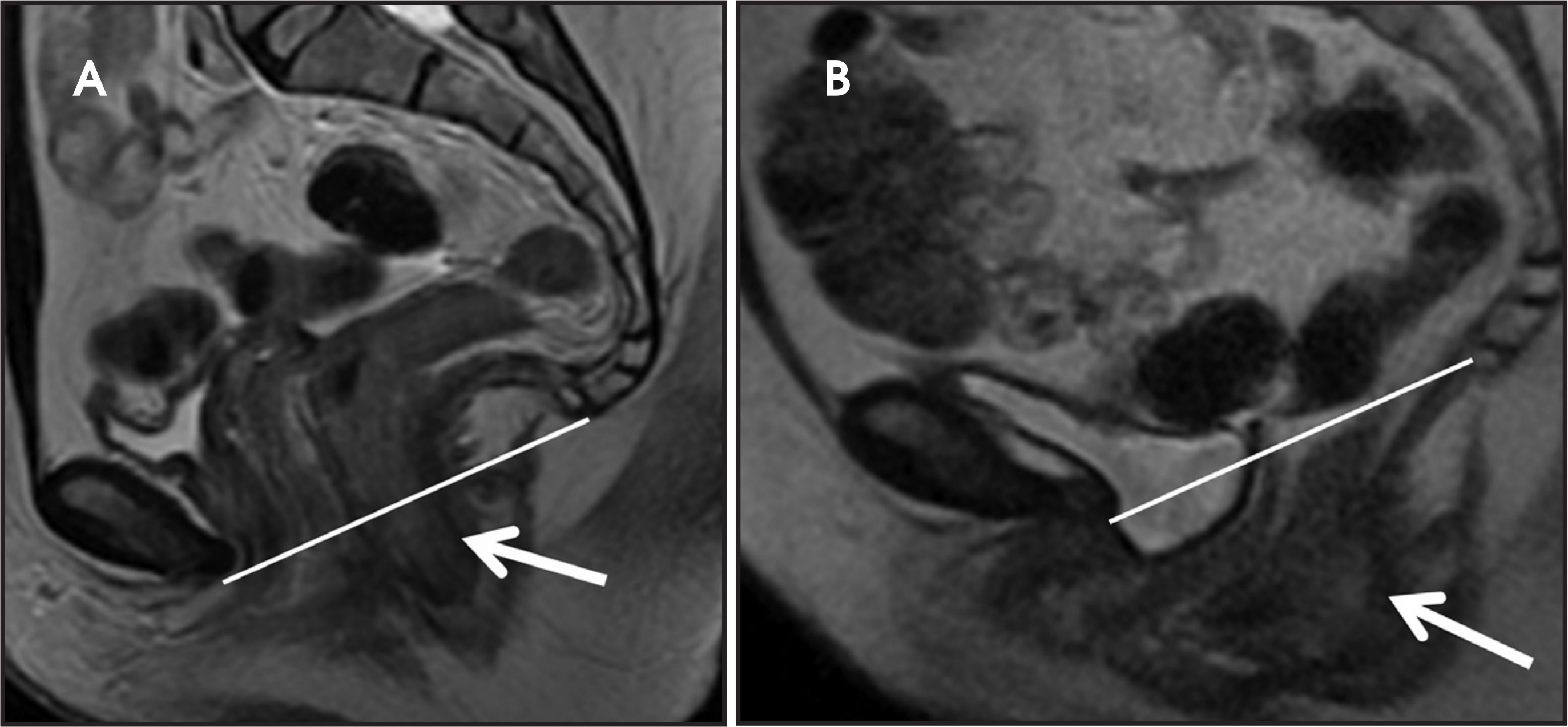 FIGURE 13.