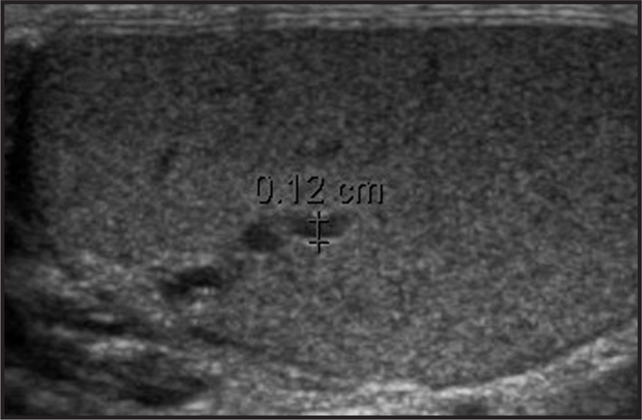 FIGURE 1.
