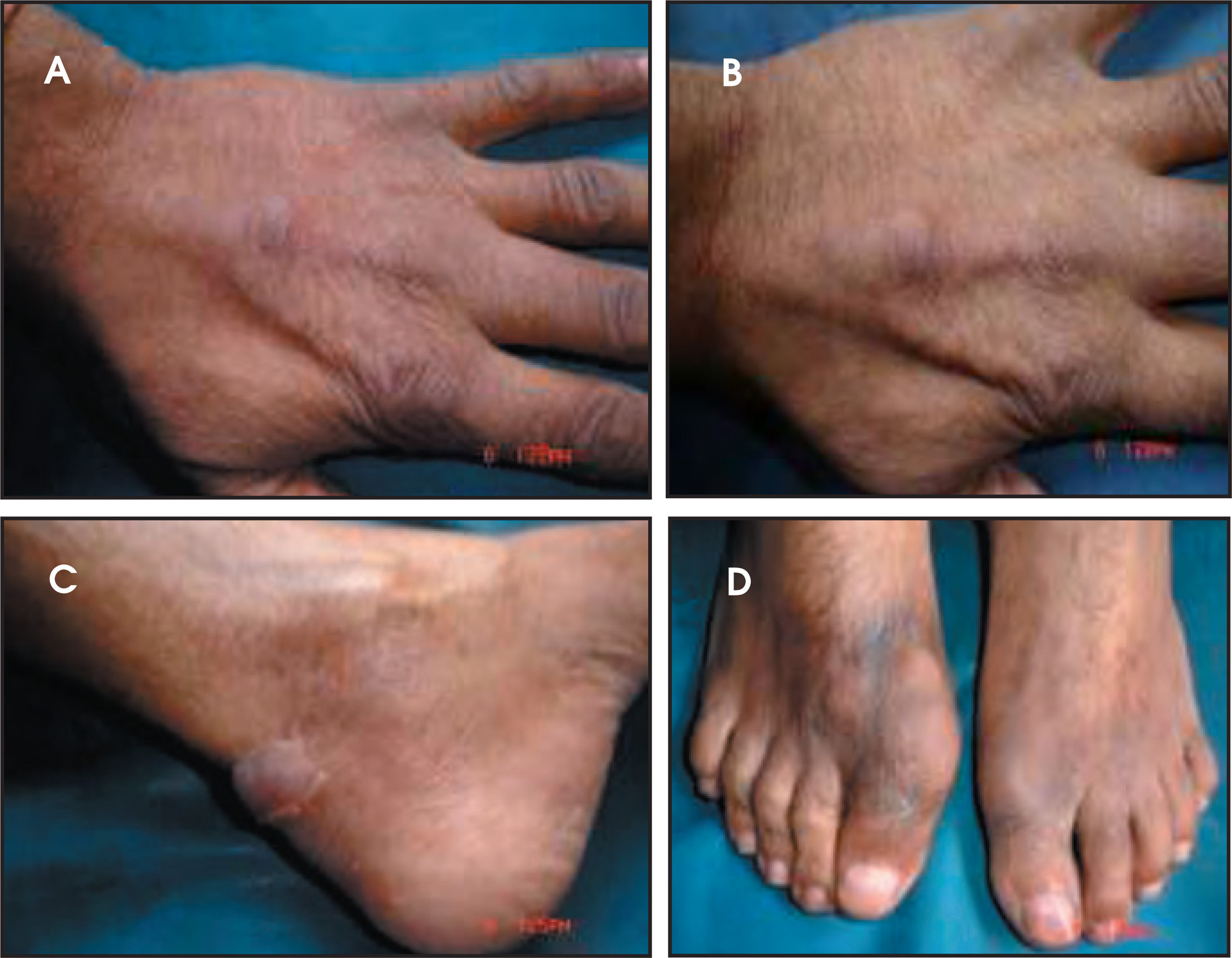 FIGURE 1.