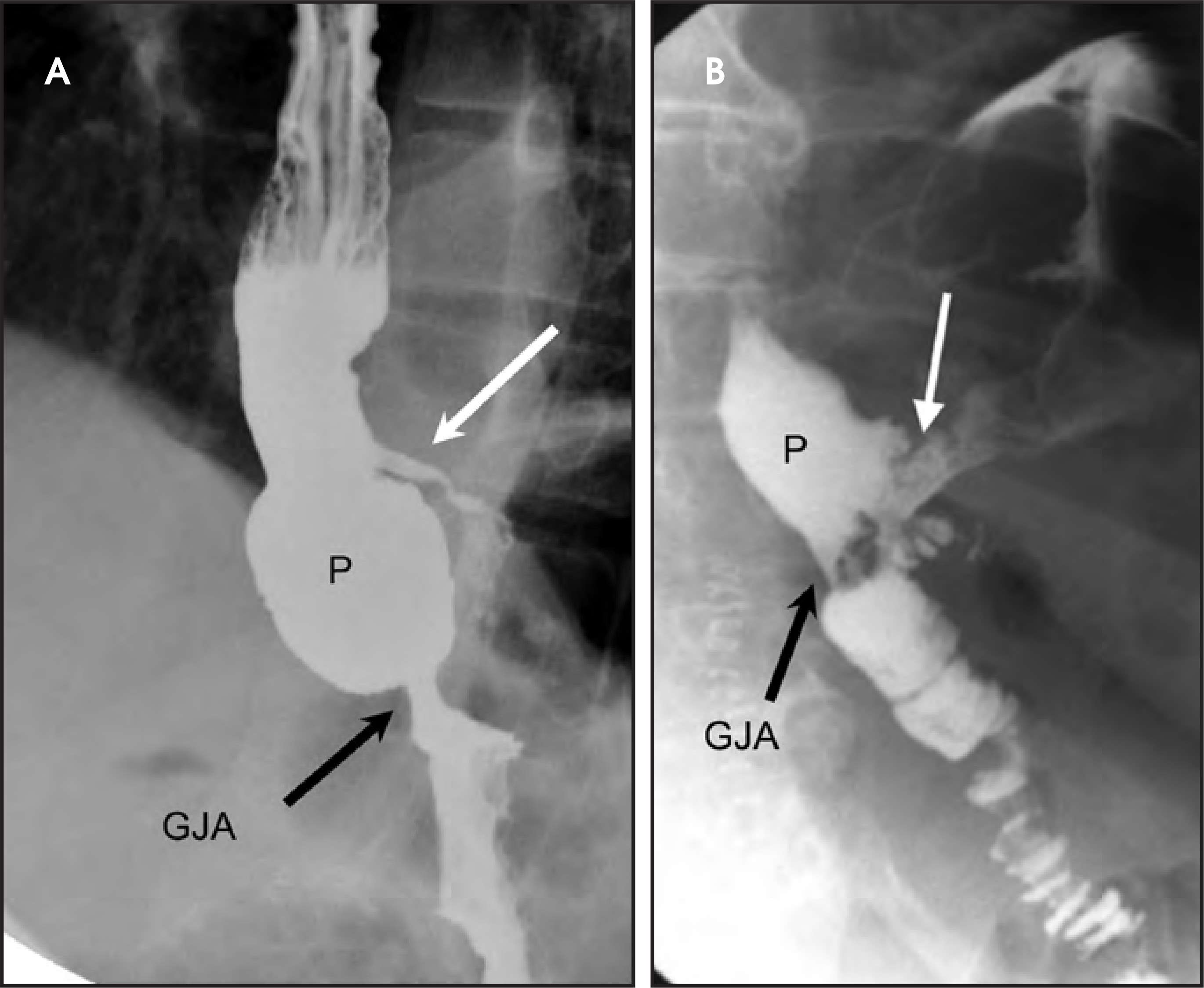 FIGURE 4.