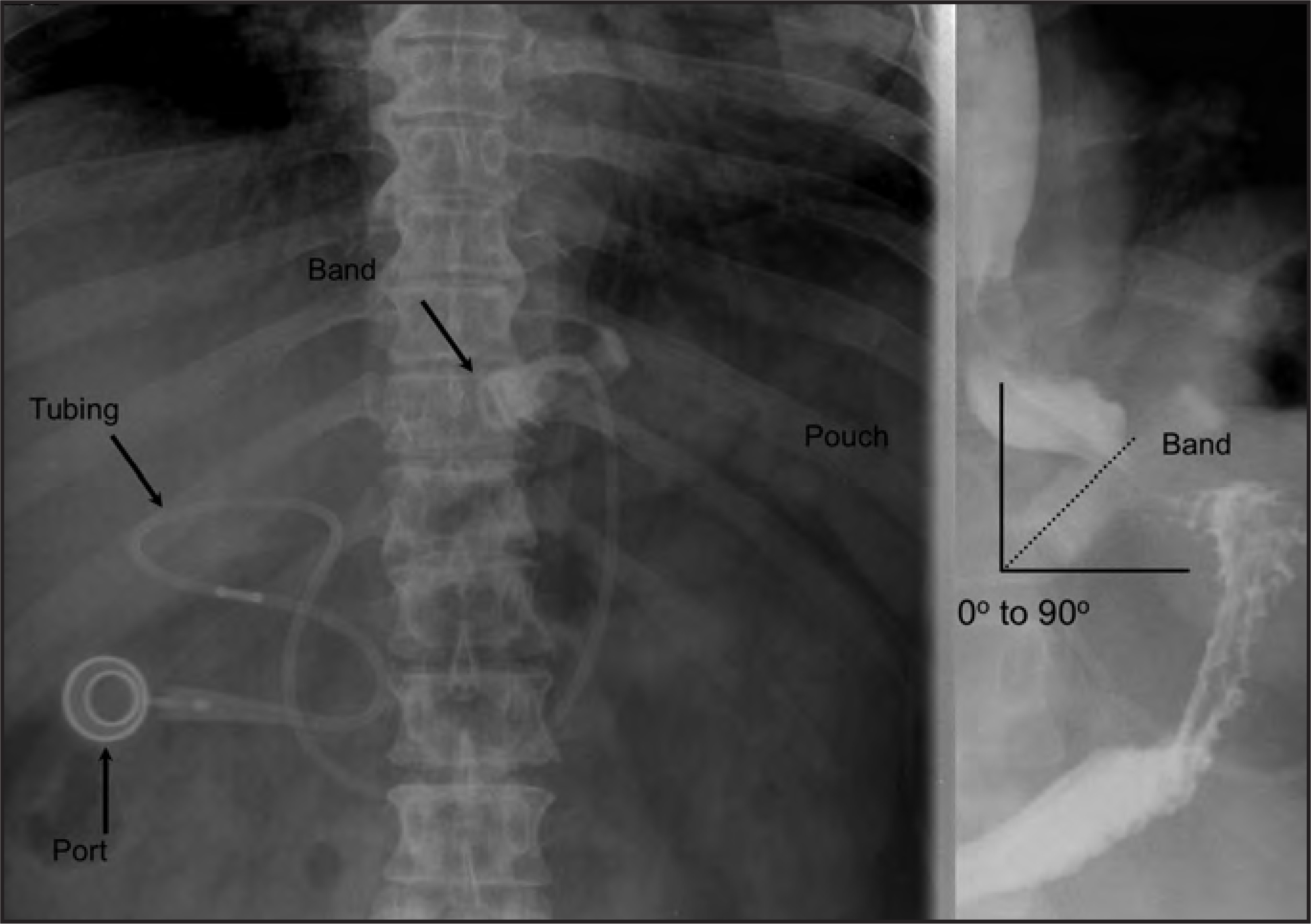 FIGURE 10.