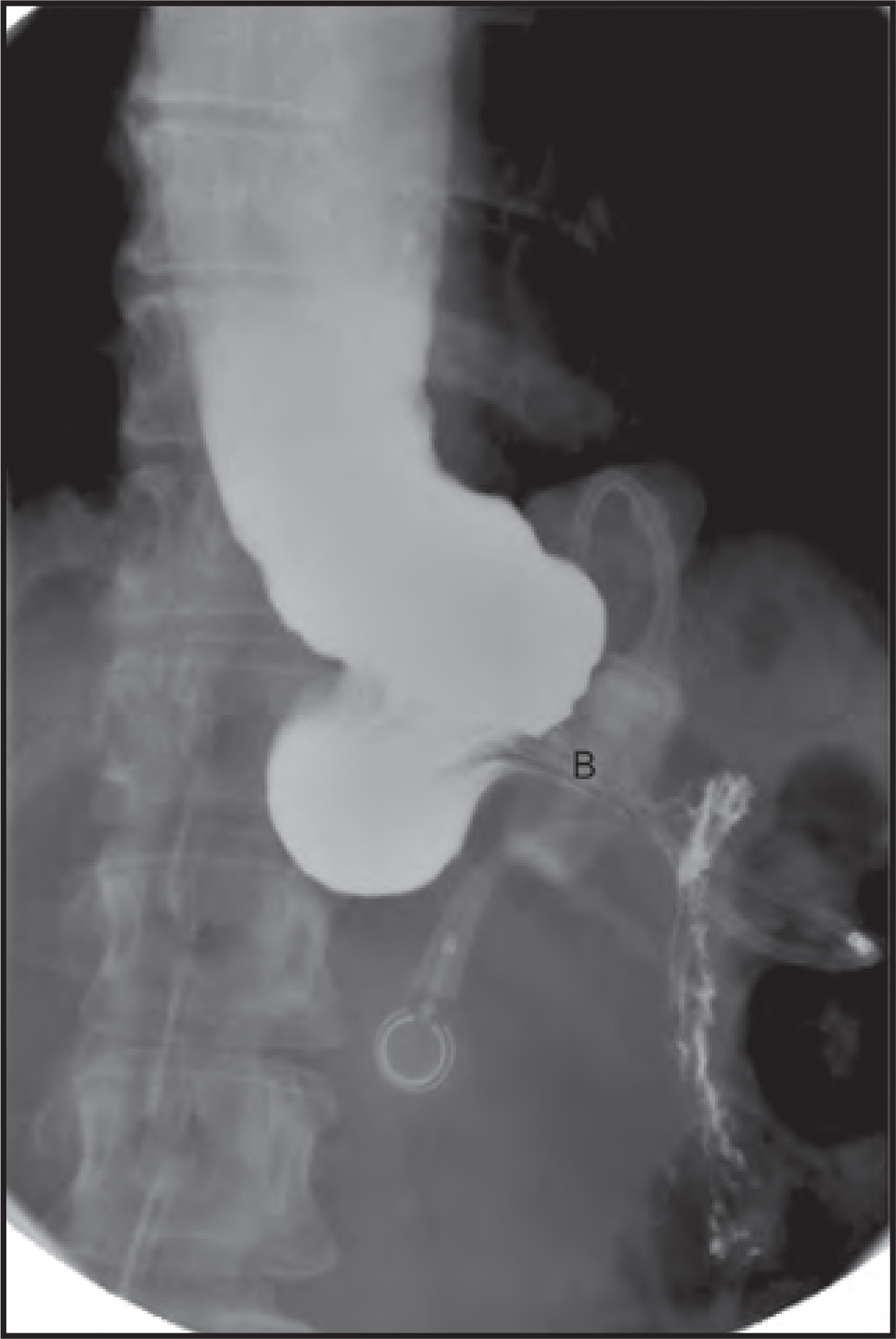 FIGURE 12.