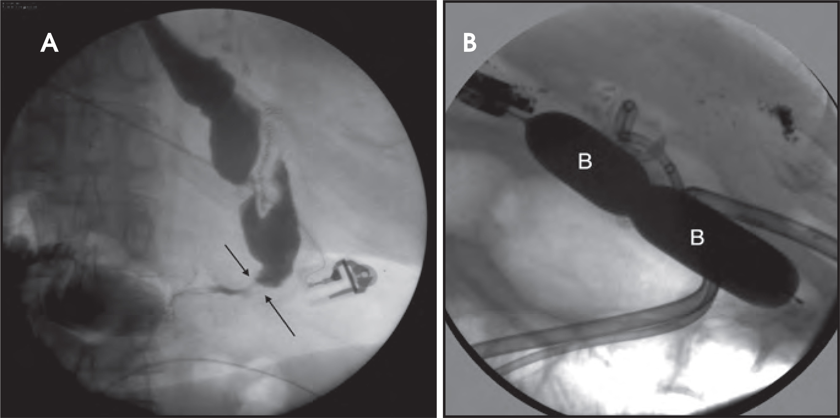 FIGURE 16.