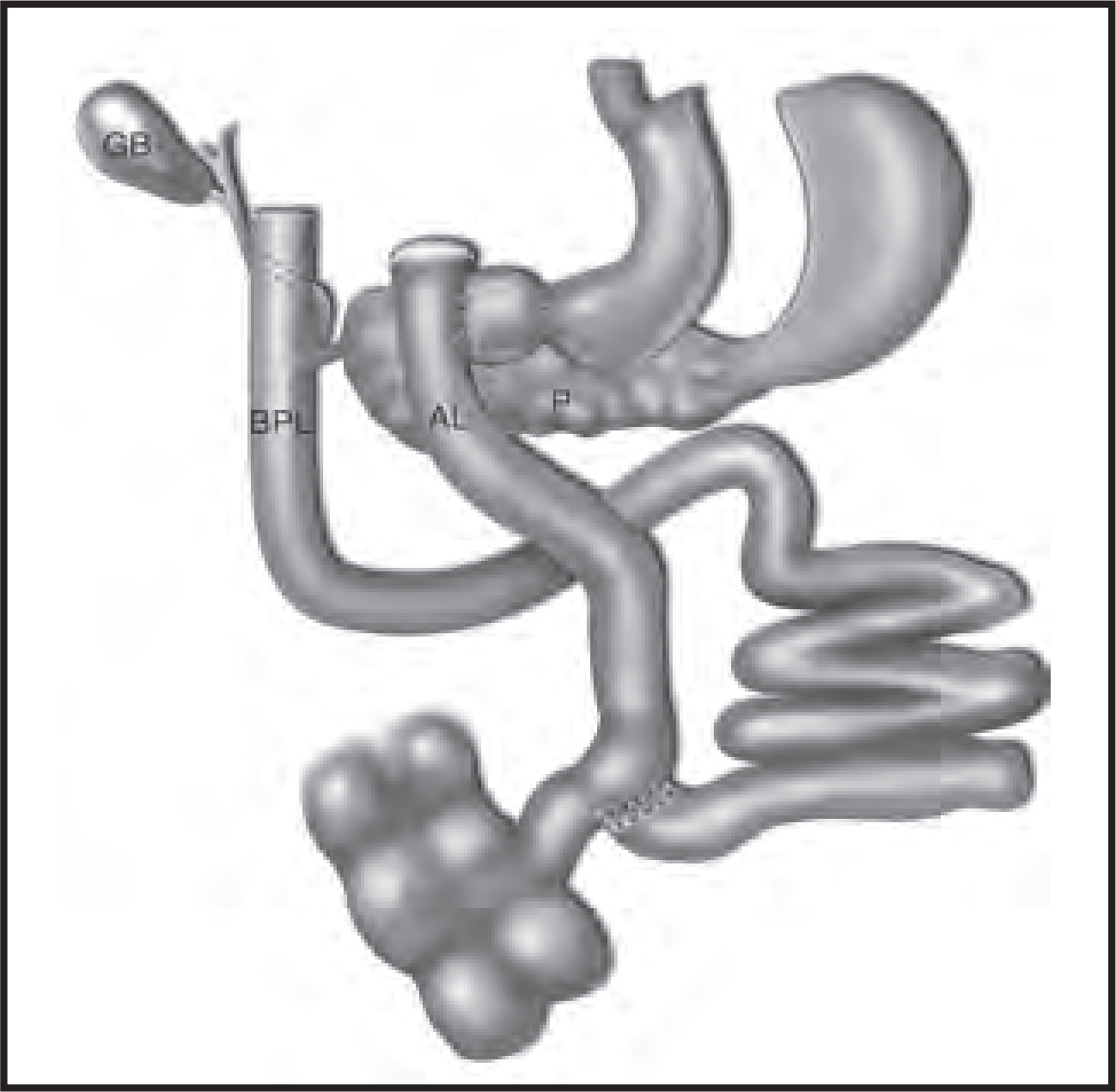 FIGURE 17.