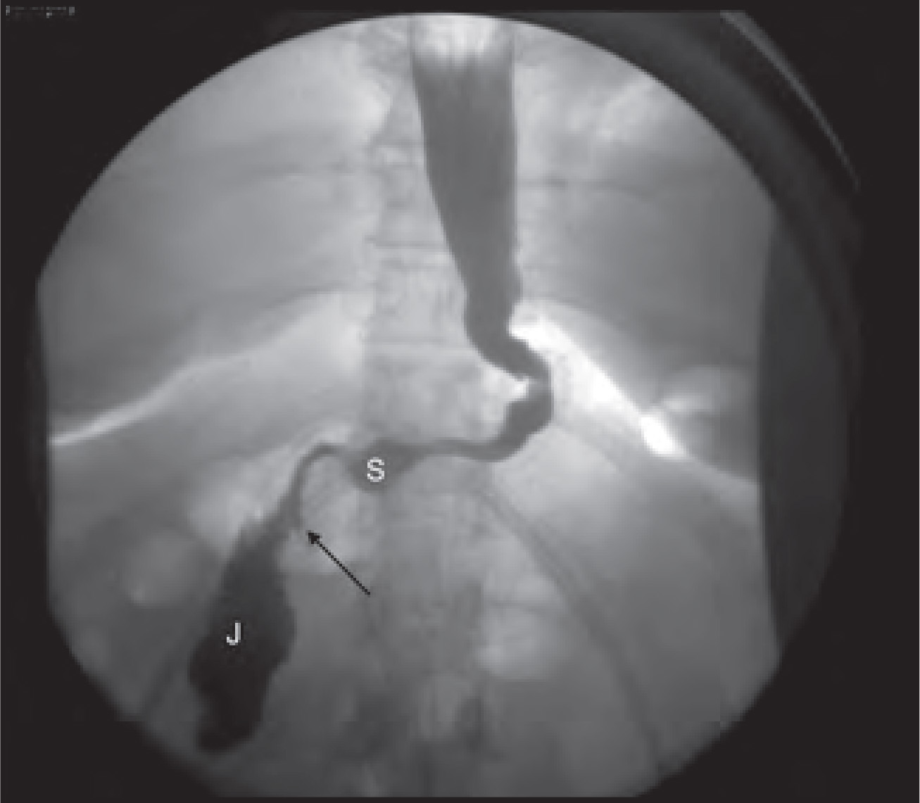 FIGURE 18.