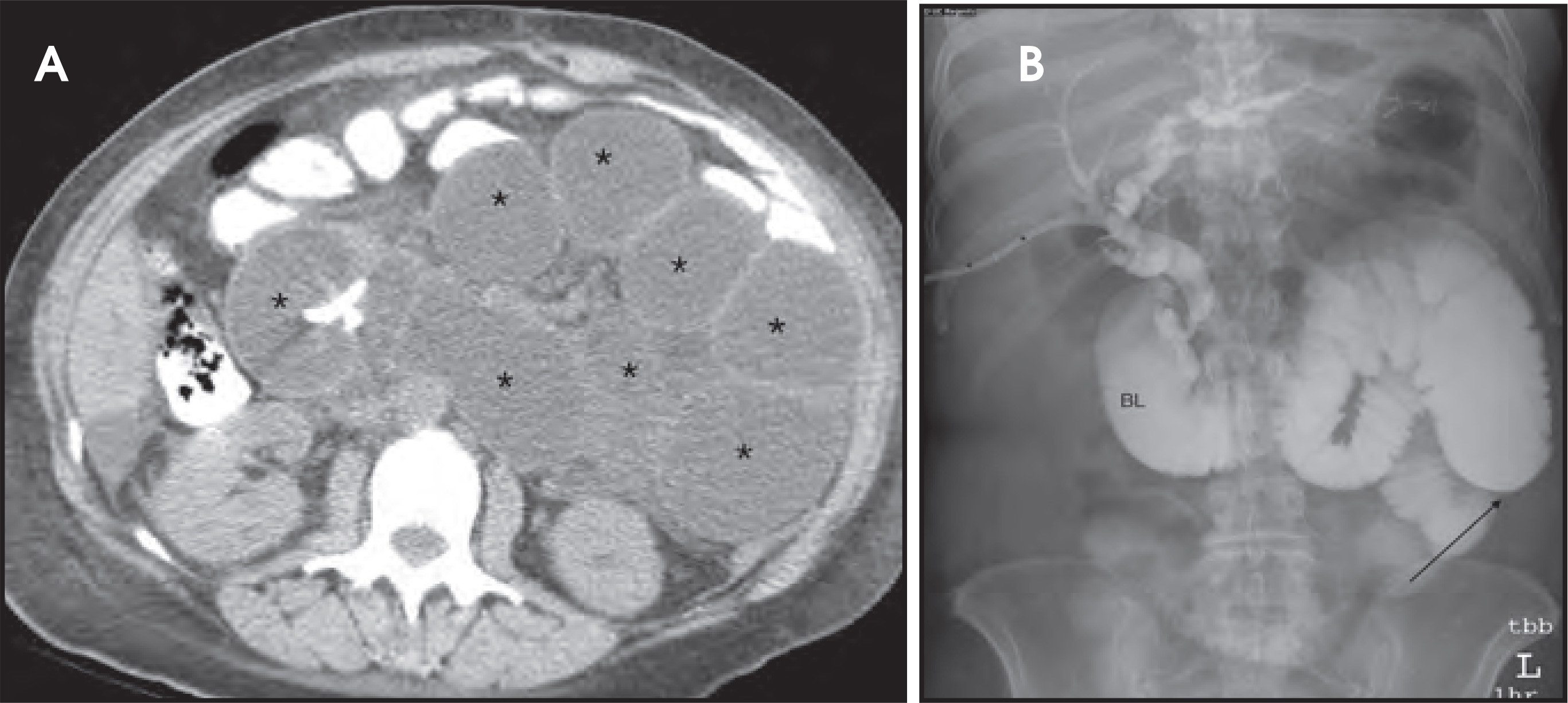 FIGURE 19.