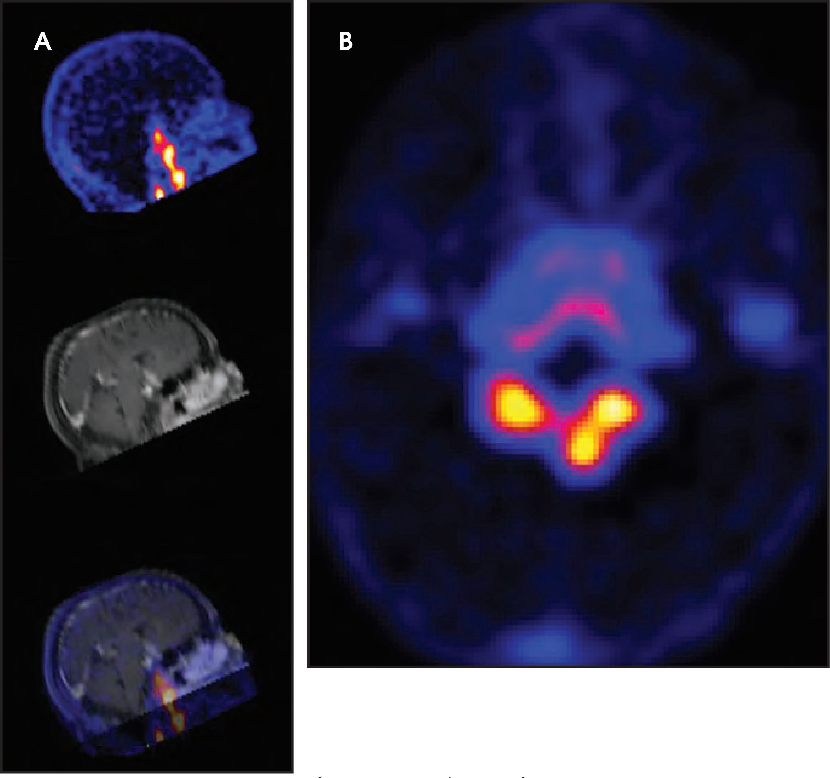FIGURE 12.