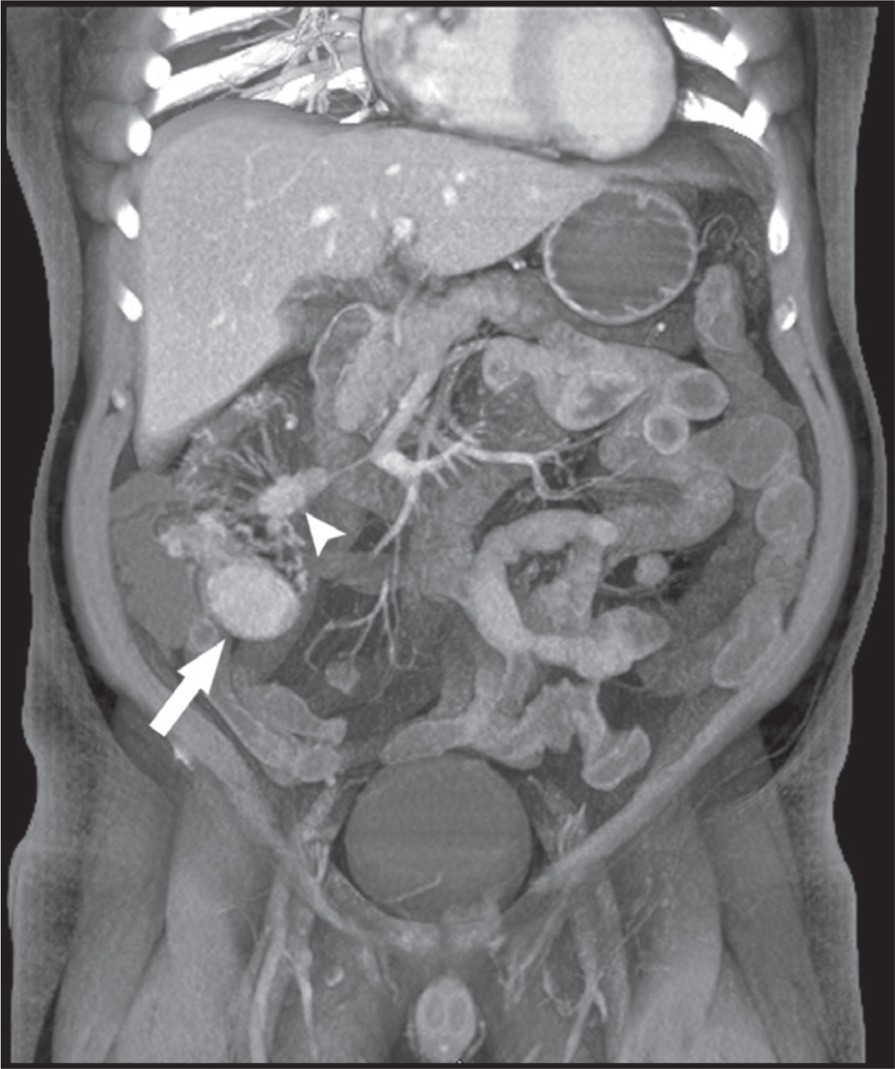 FIGURE 1.