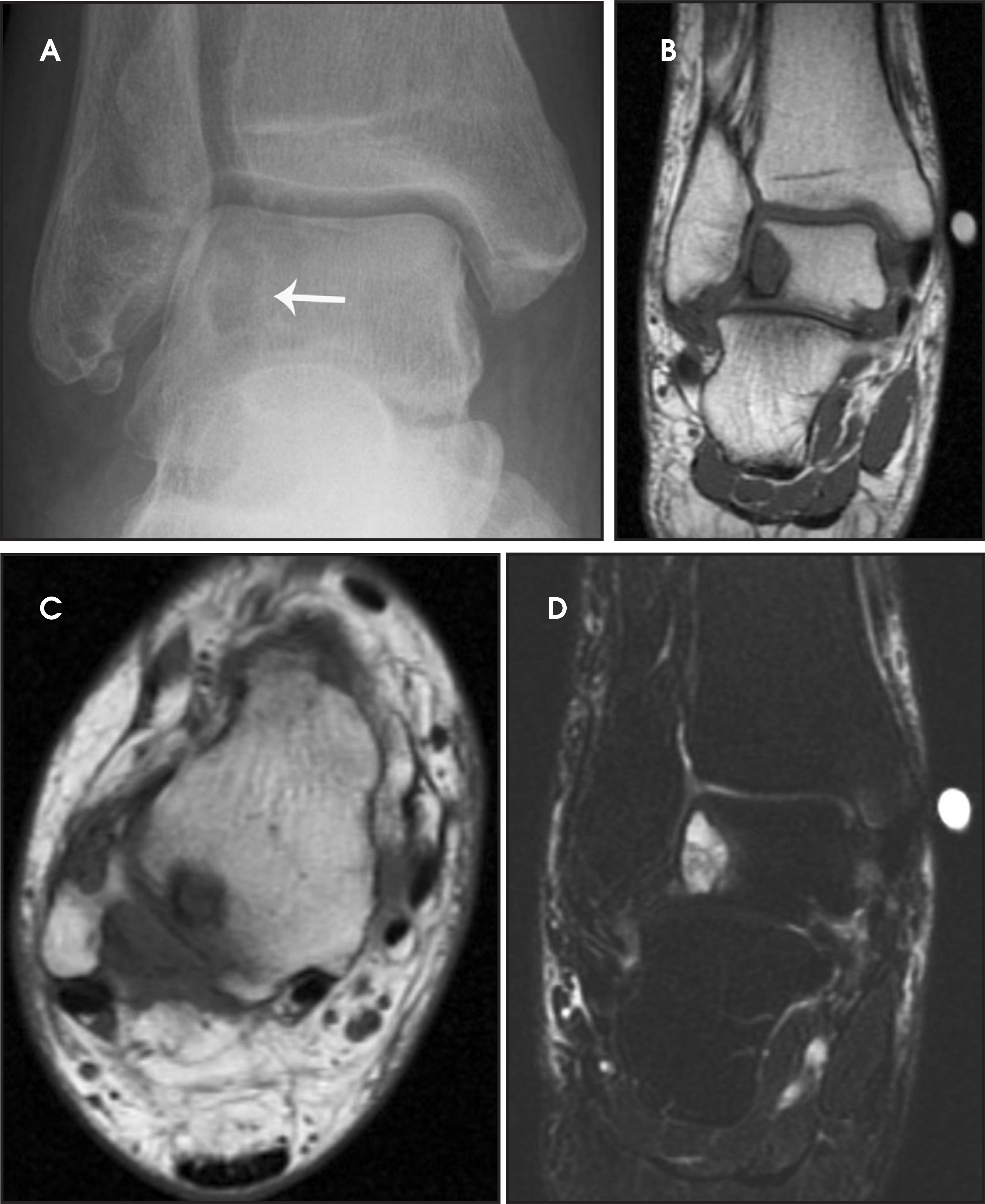FIGURE 1.