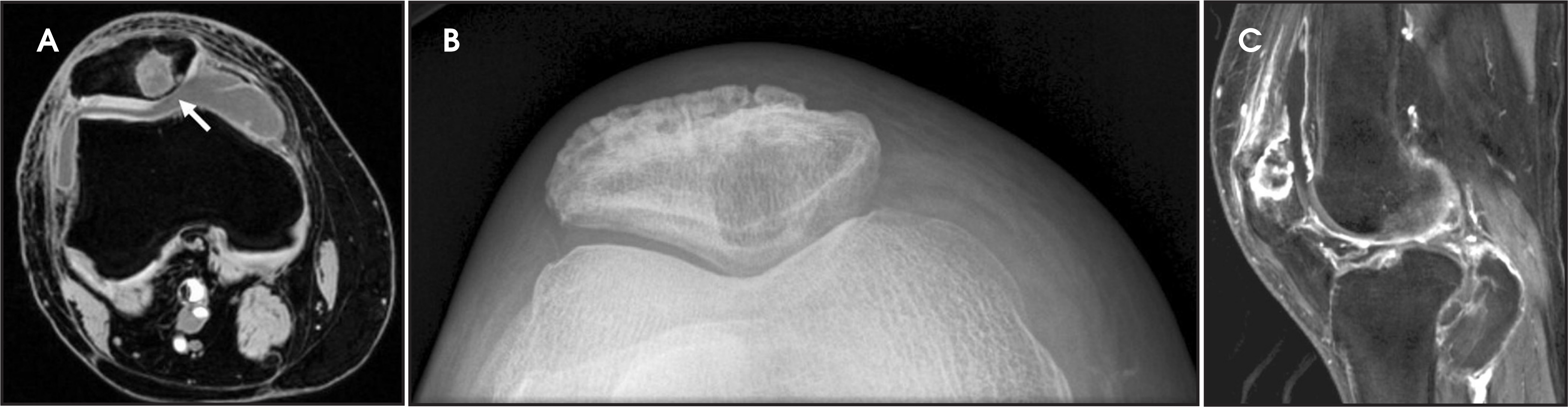 FIGURE 2.