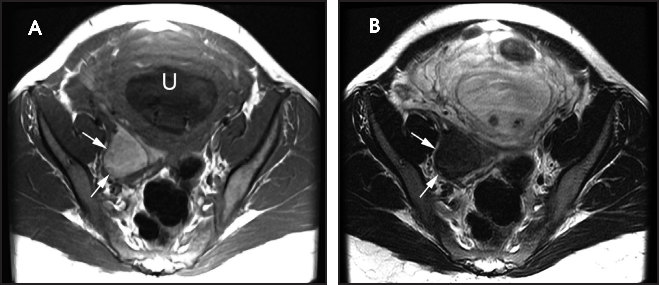 FIGURE 12.